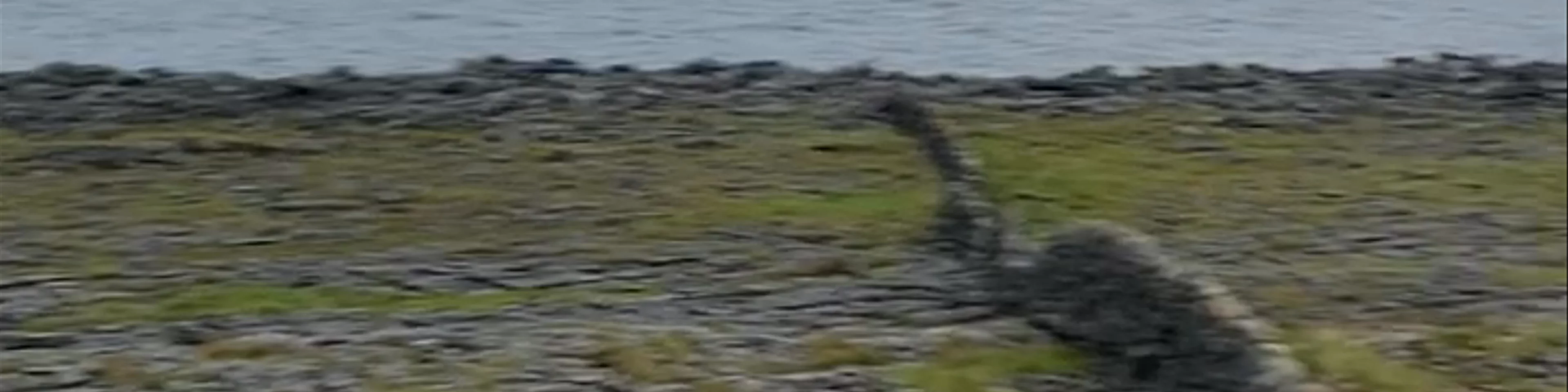 Doolin Point
