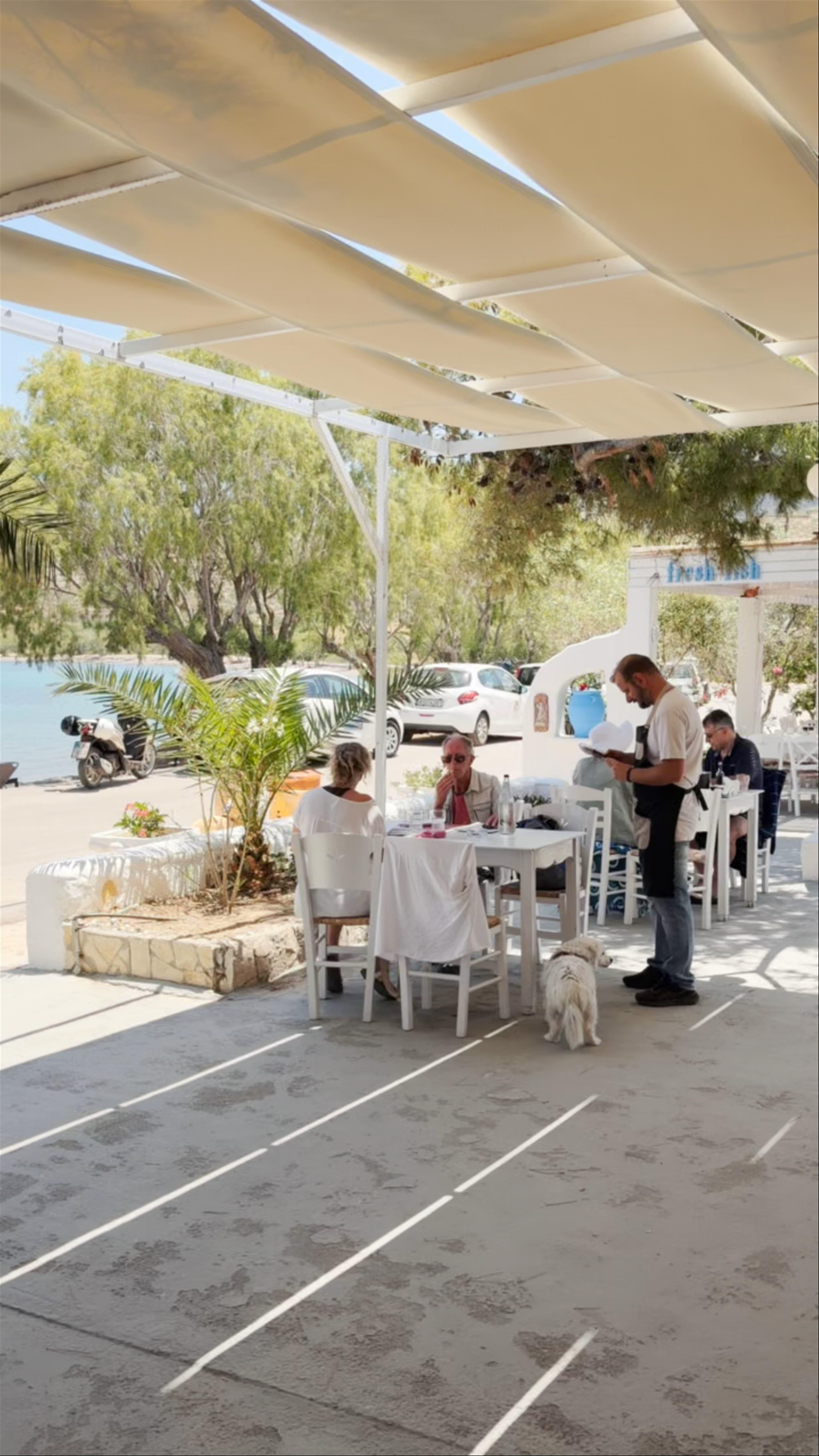 Artemis Taverna