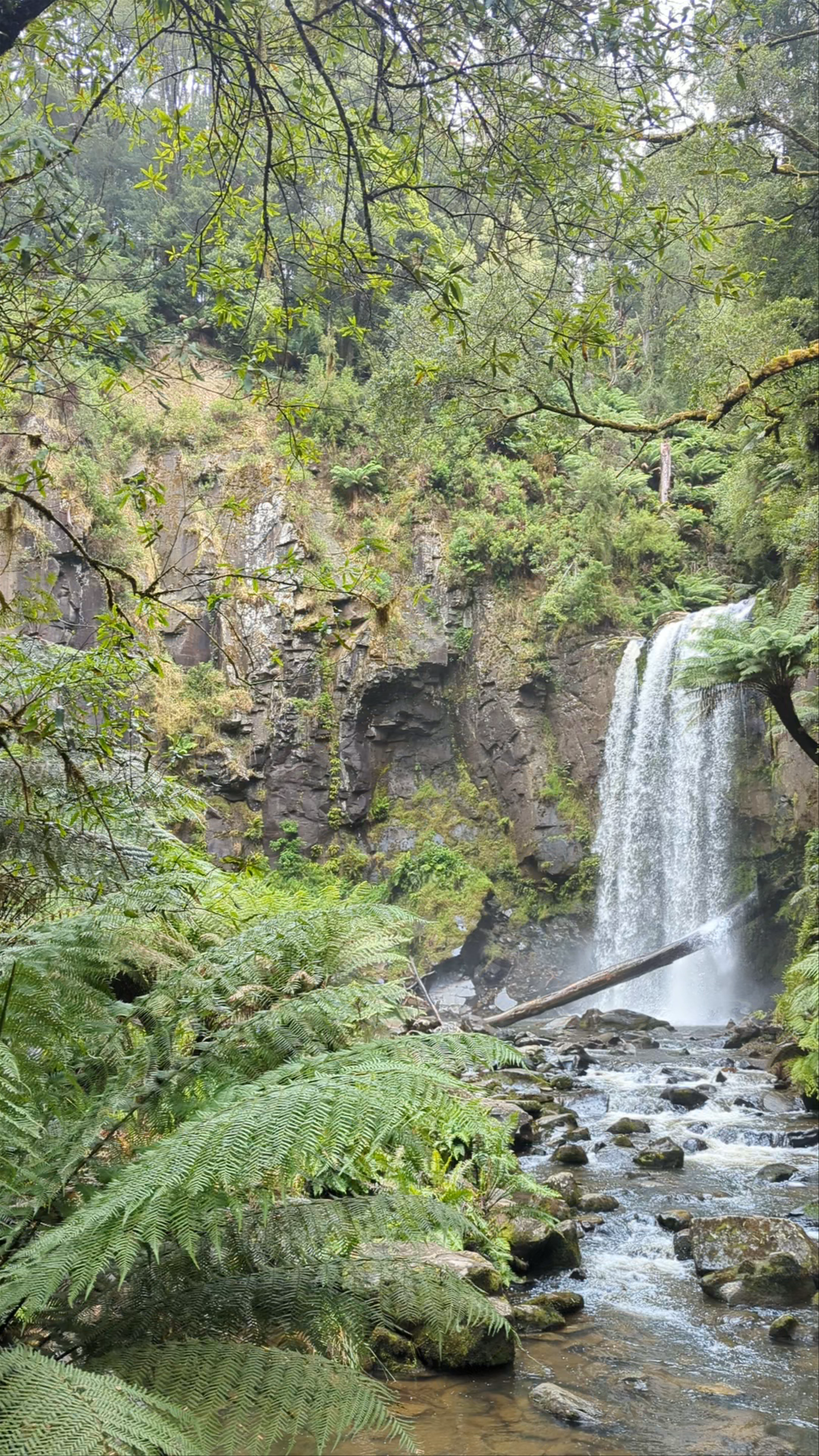 Hopetoun Falls