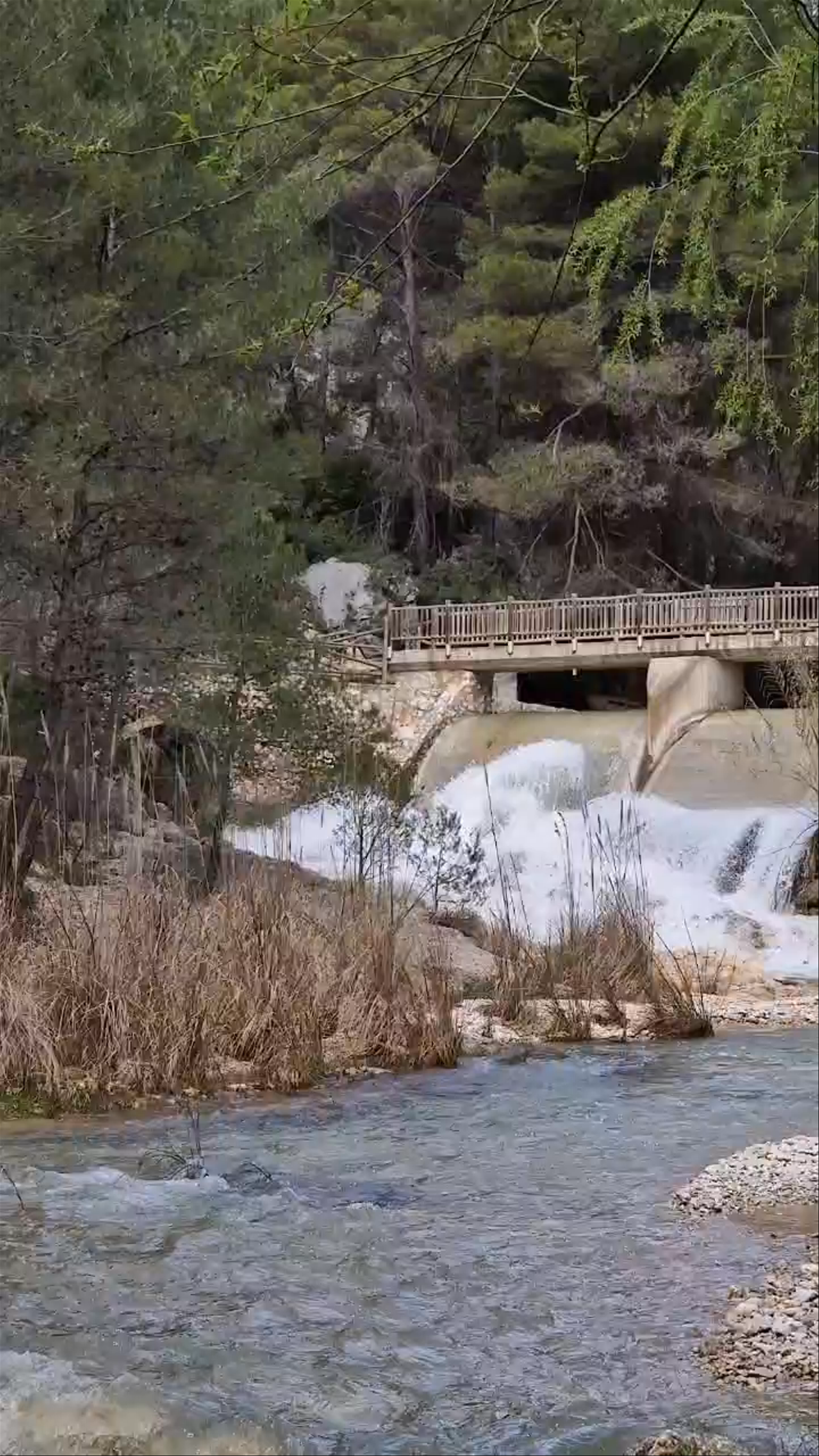 Peaceful Riverside Escape at Camping La Puerta, Moratalla