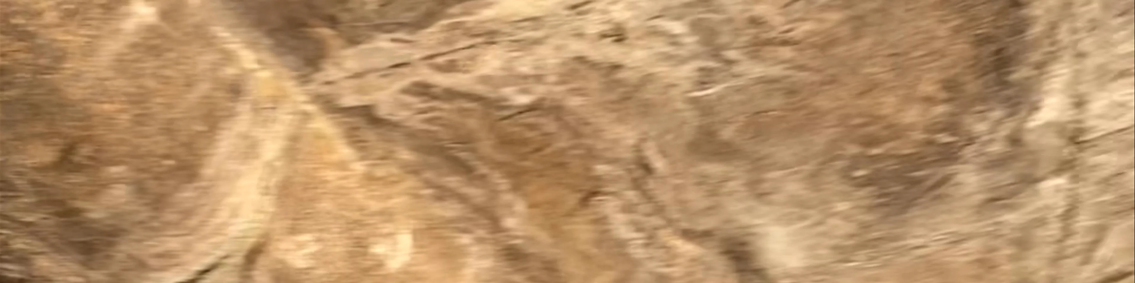 Five Rathas (Pancha Rathas)