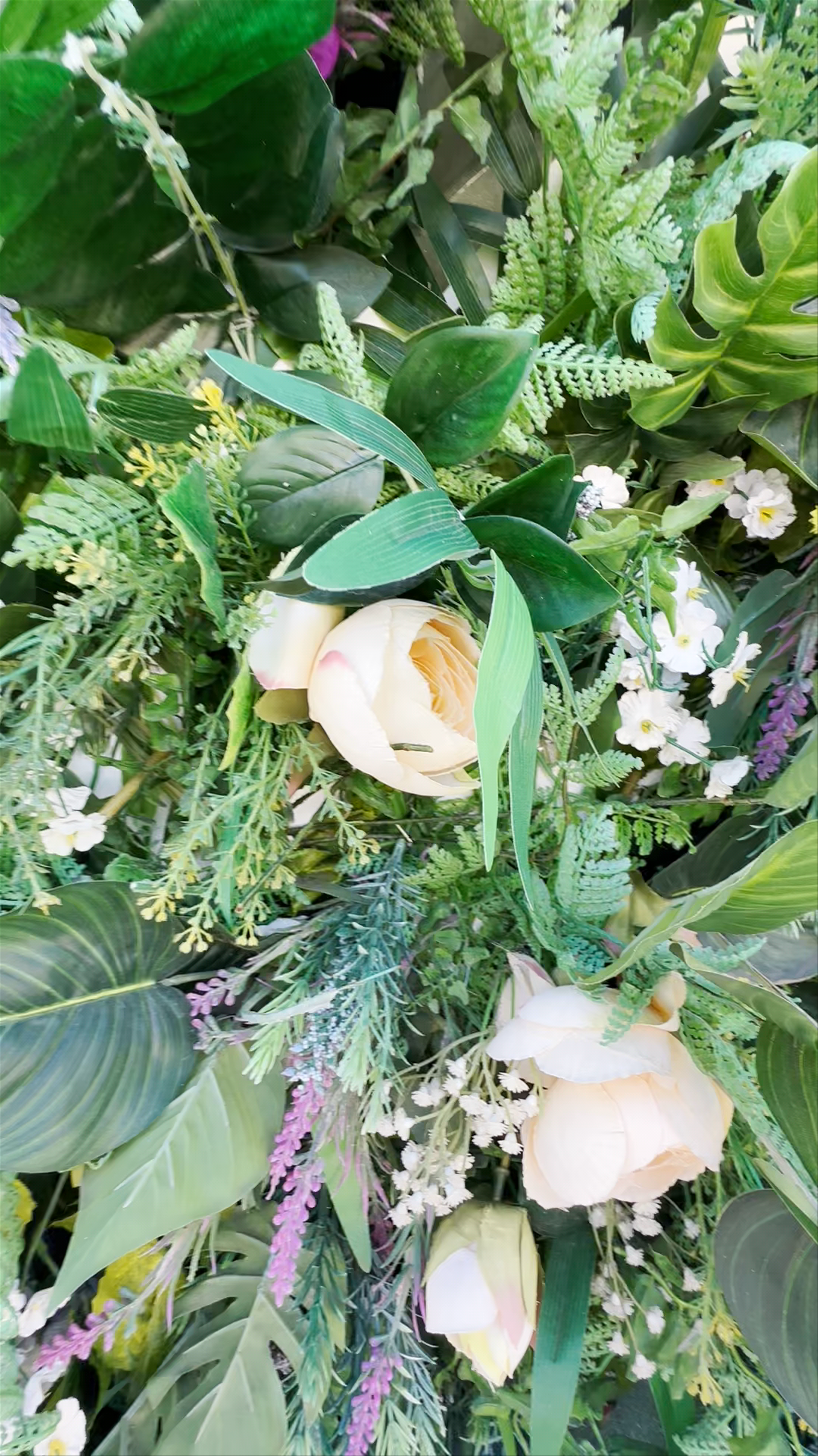 Plaza Tomás Morales