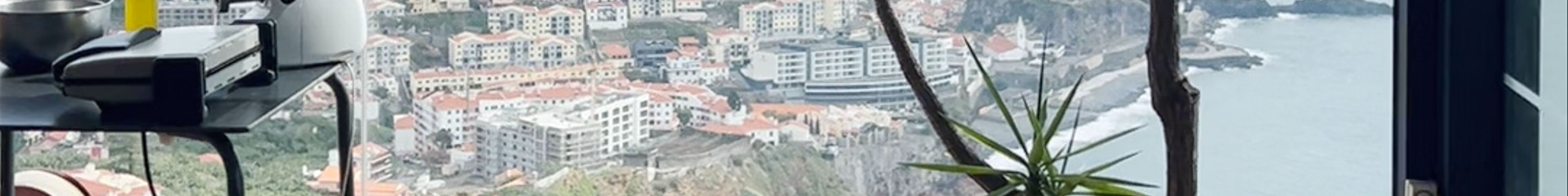 Tours & experiences in Câmara de Lobos