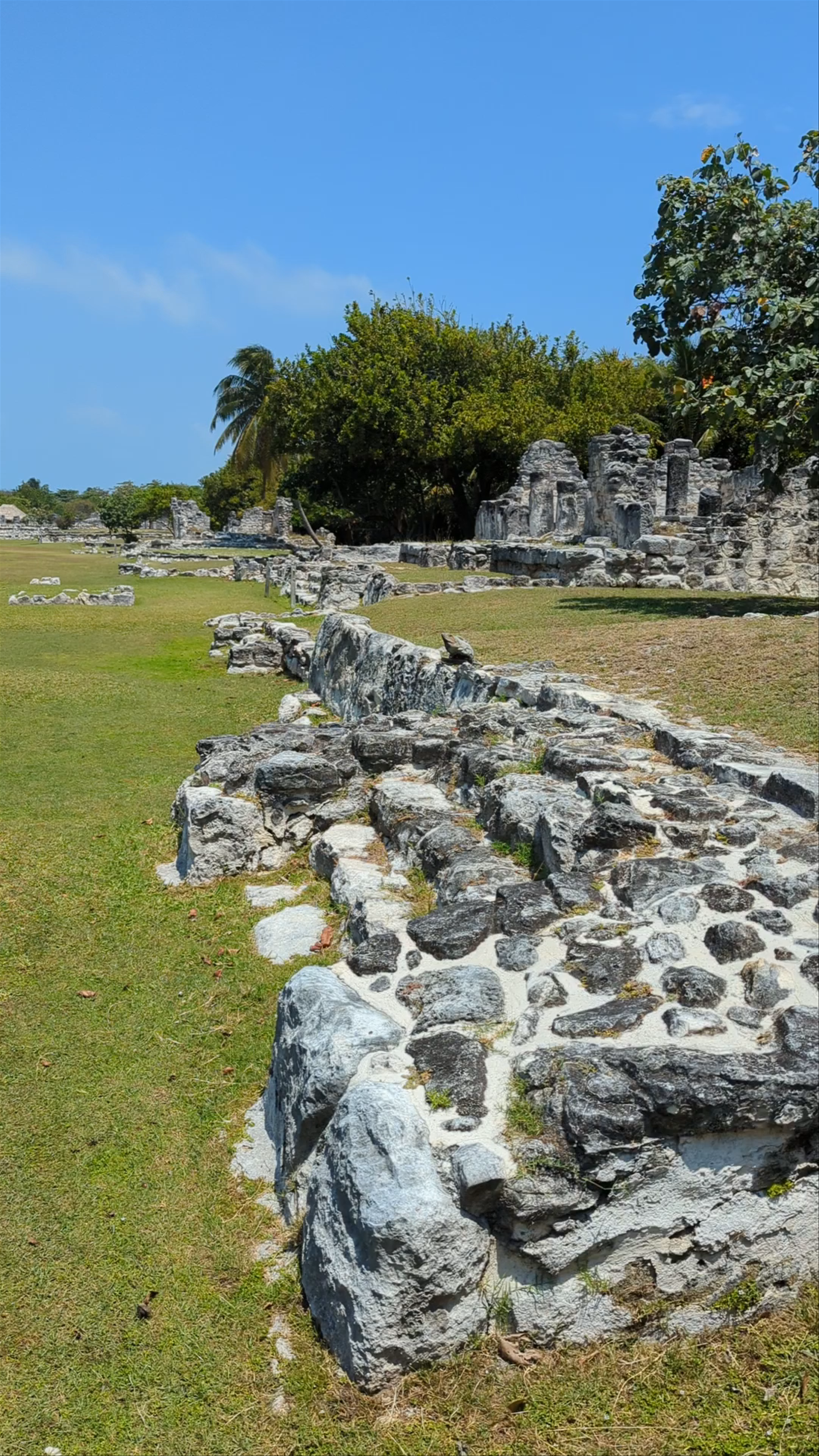 El Rey Archaeological Site: Mystical Ruins in Cancun's Hotel Zone