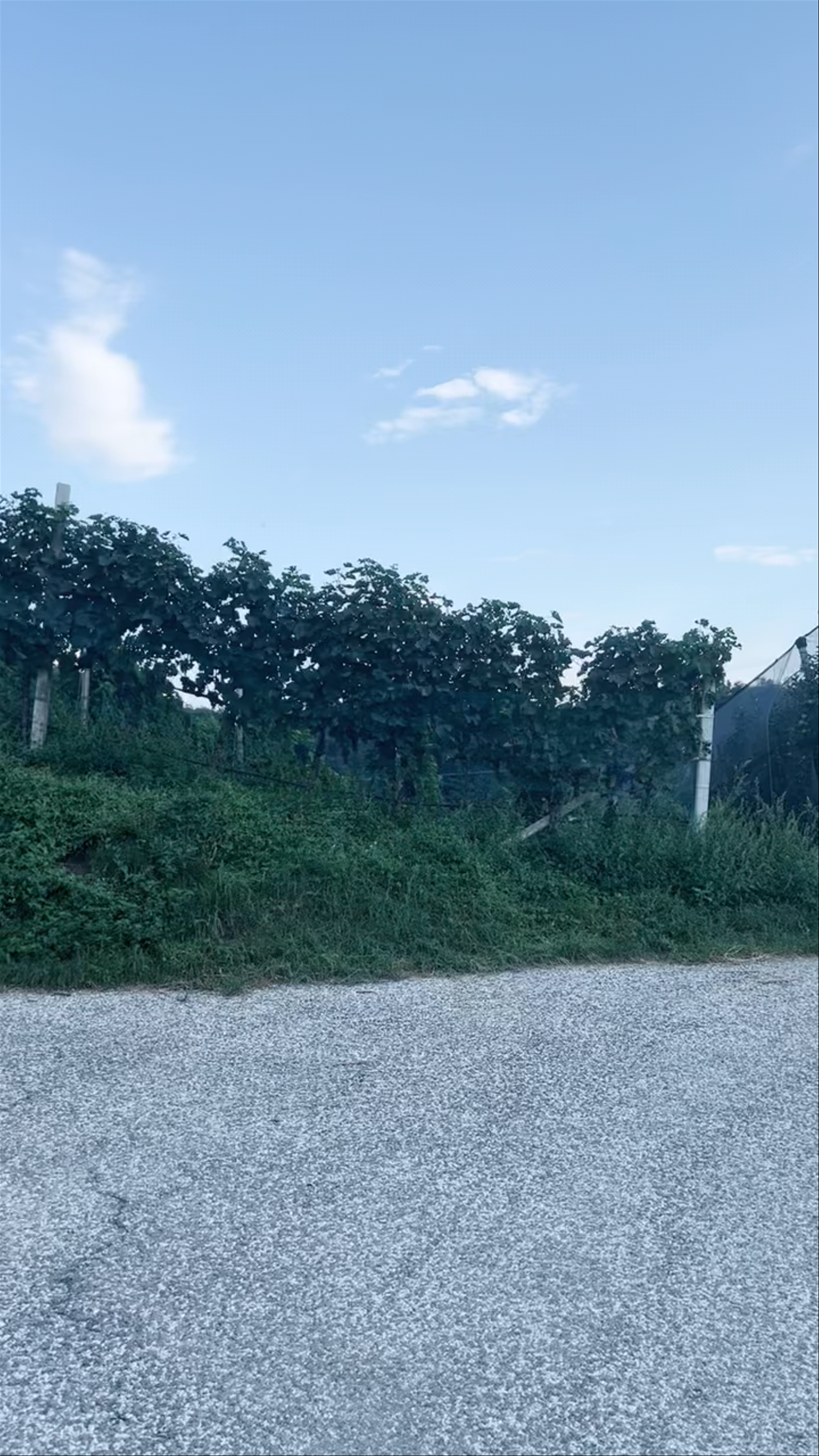 St. Michael-Eppan Winery