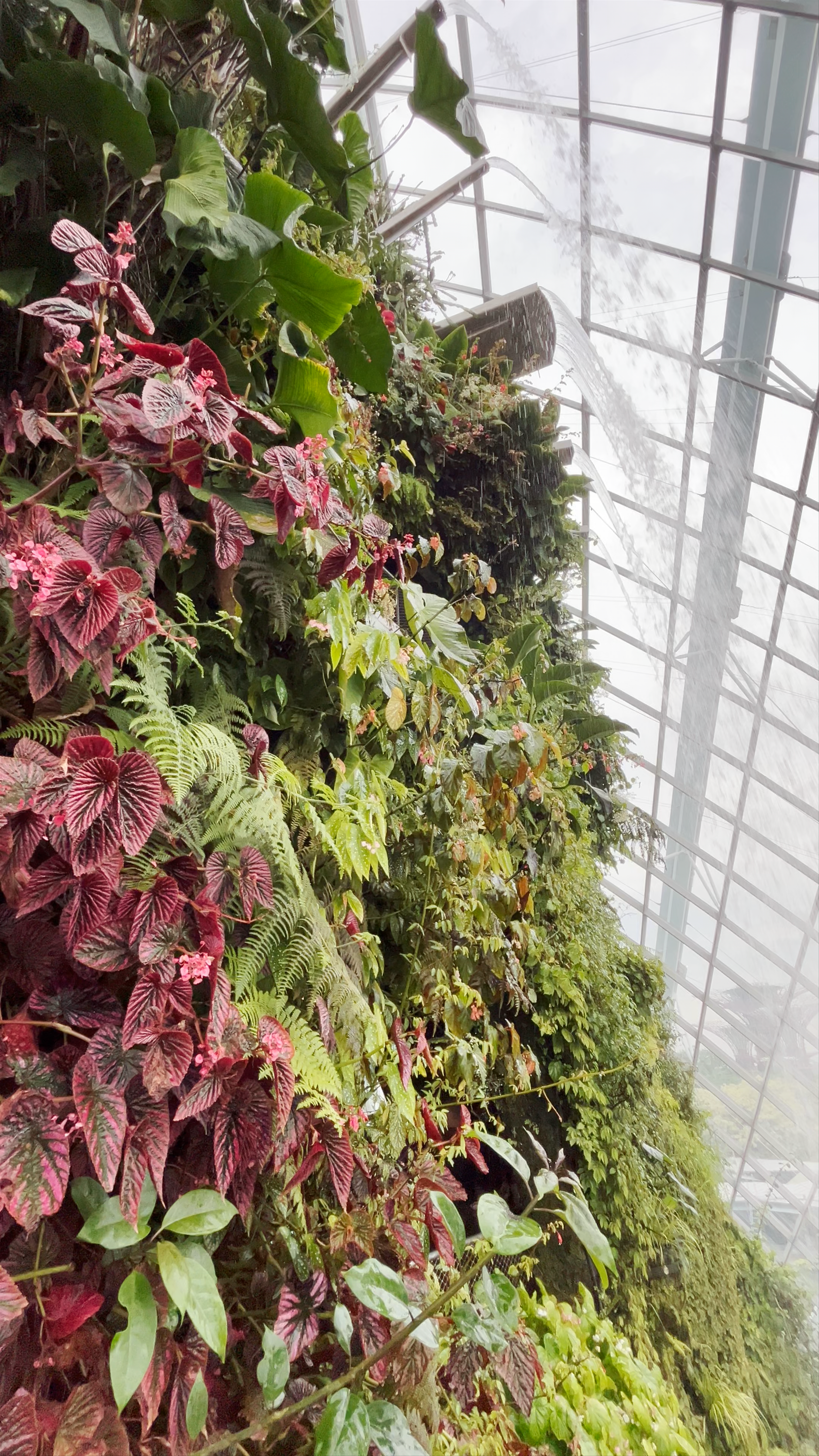 Cloud Forest Waterfall at Marina Gardens Drive, Singapore