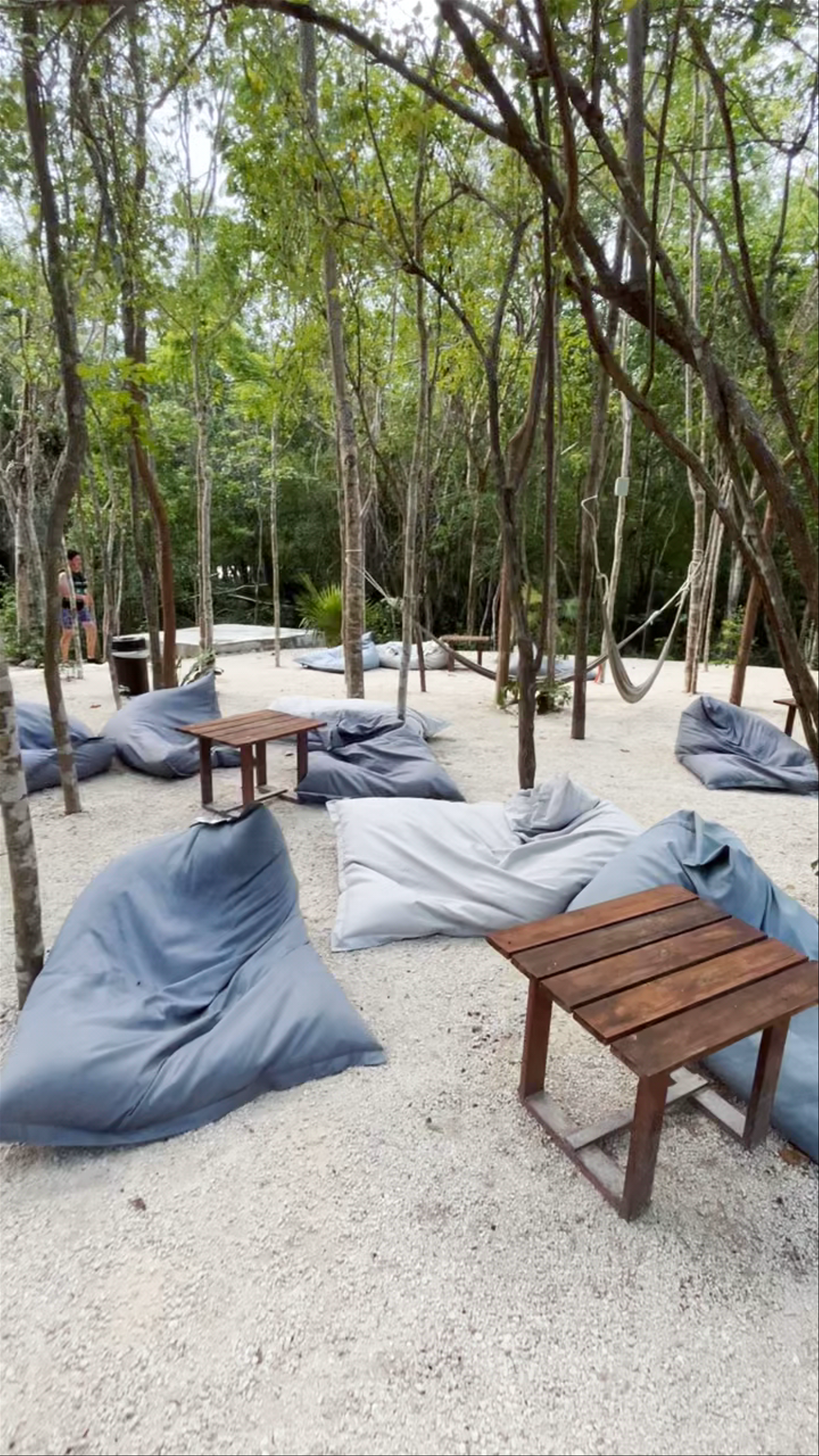 Cenotes Casa Tortuga Tulum