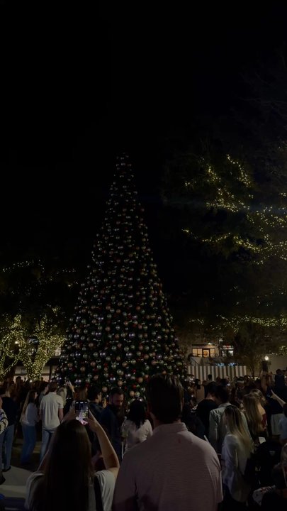 Hyde Park Village - Shopping Centers Near Me - Tampa, Florida