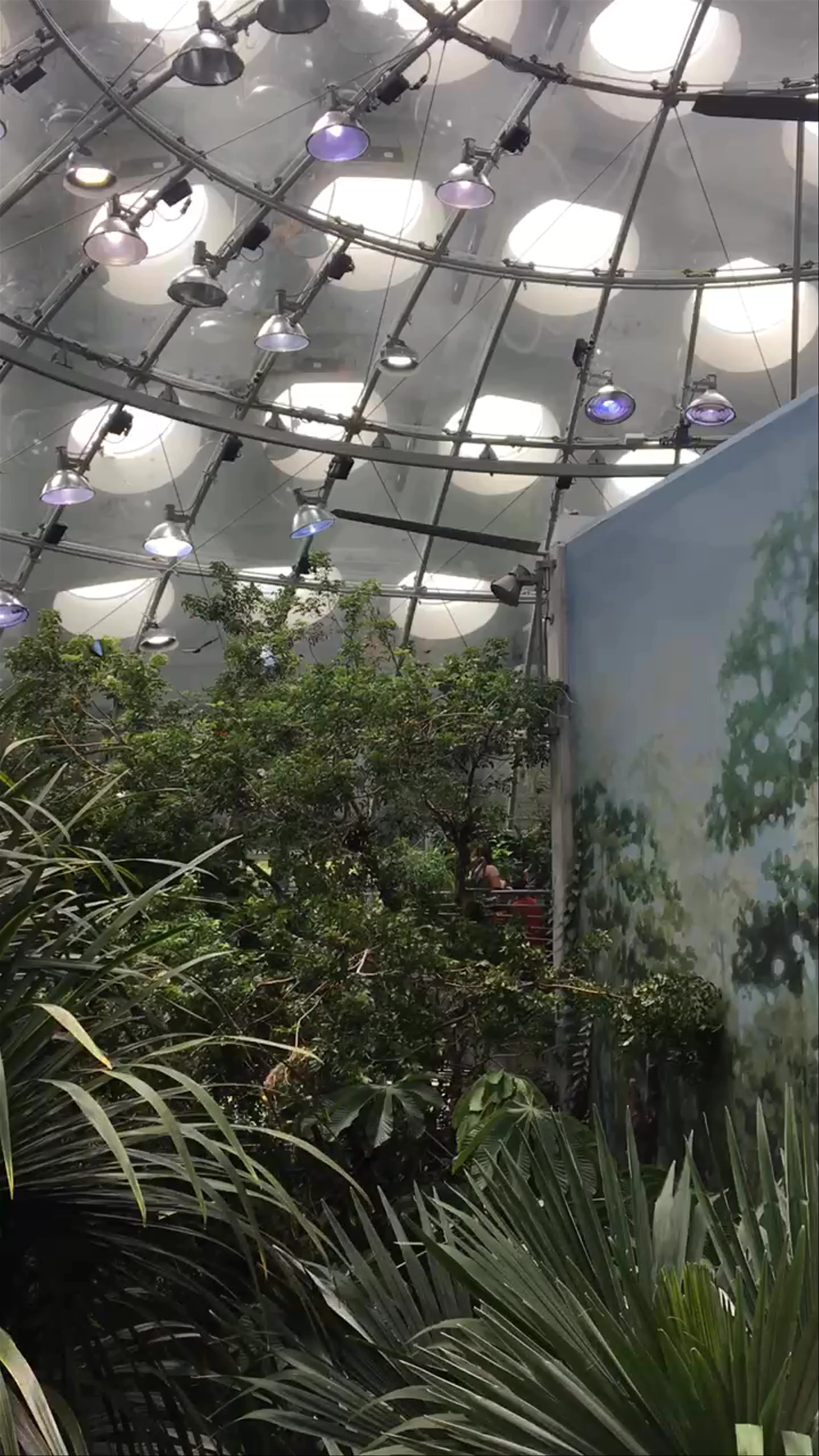 Academy of Sciences