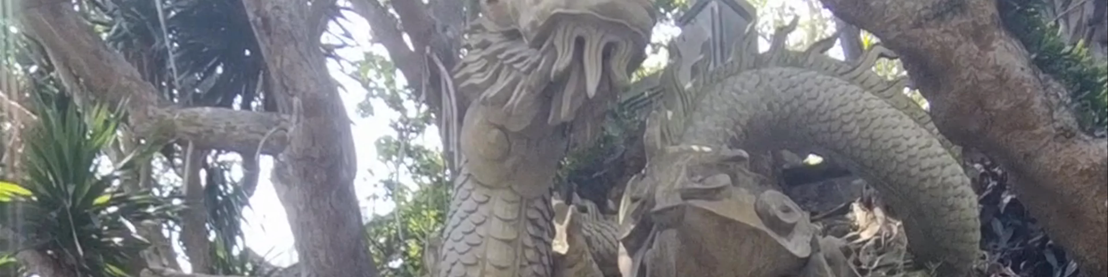 LÂM TỲ NI VIÊN