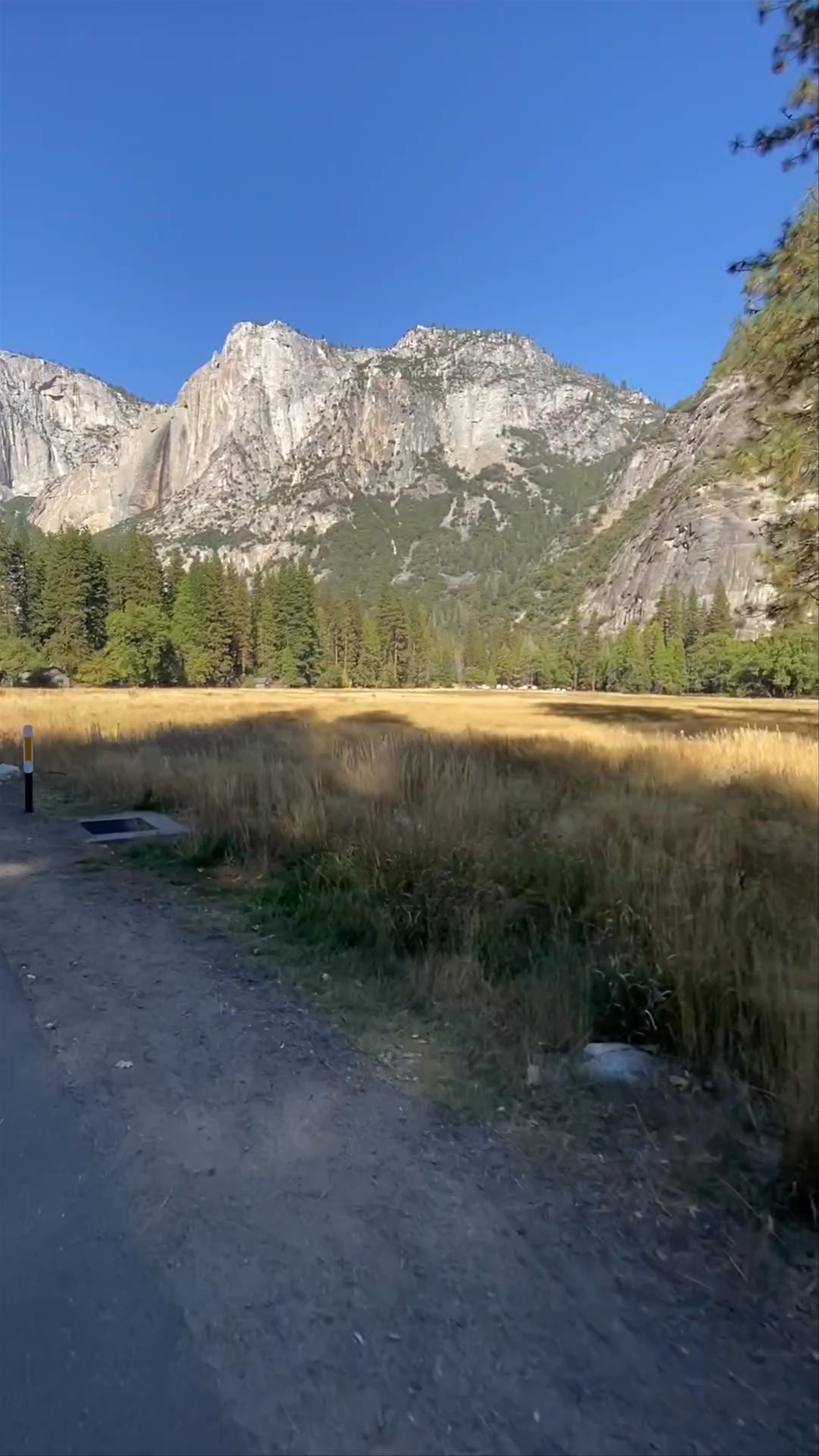 Curry Village Bike Rental