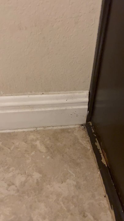 KJ's OCD Cleaning Services - Not clean at all, she demanded $600 to clean my rental property too to bottom. Paid fully but she don't know how to clean at all. - Home Cleaning Near Me - Killeen, Texas