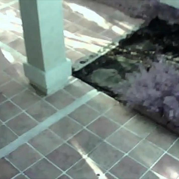 Genesis Stoneworks - Time lapse of the front yard demo and install - Masonry/Concrete Near Me - Moorpark, California