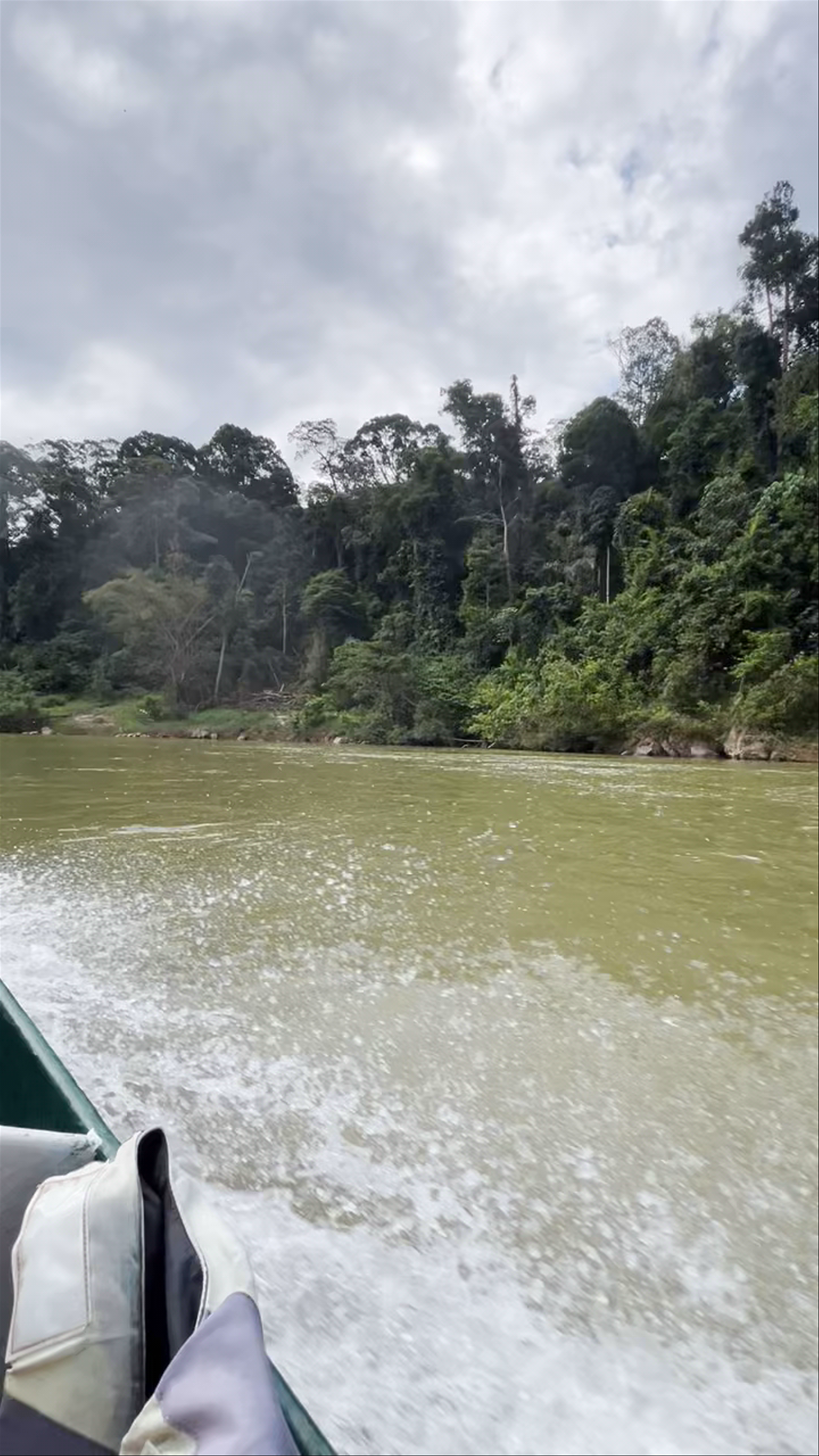 Taman Negara National Park
