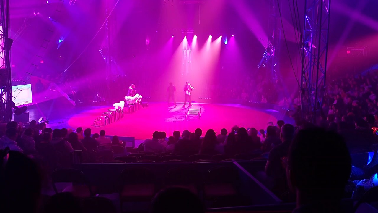 Big Apple Circus - Who doesn't love some dog tricks? - Performing Arts Near Me - New York, New York