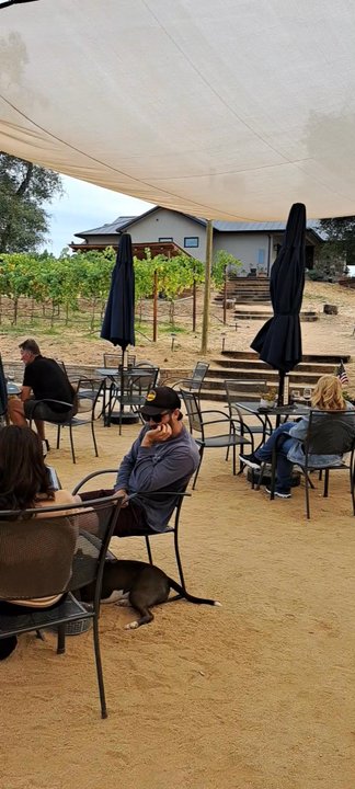 Smokin' Barrel Winery - Covered outdoor dining area for wine tasting and live music - Wineries Near Me - Lincoln, California