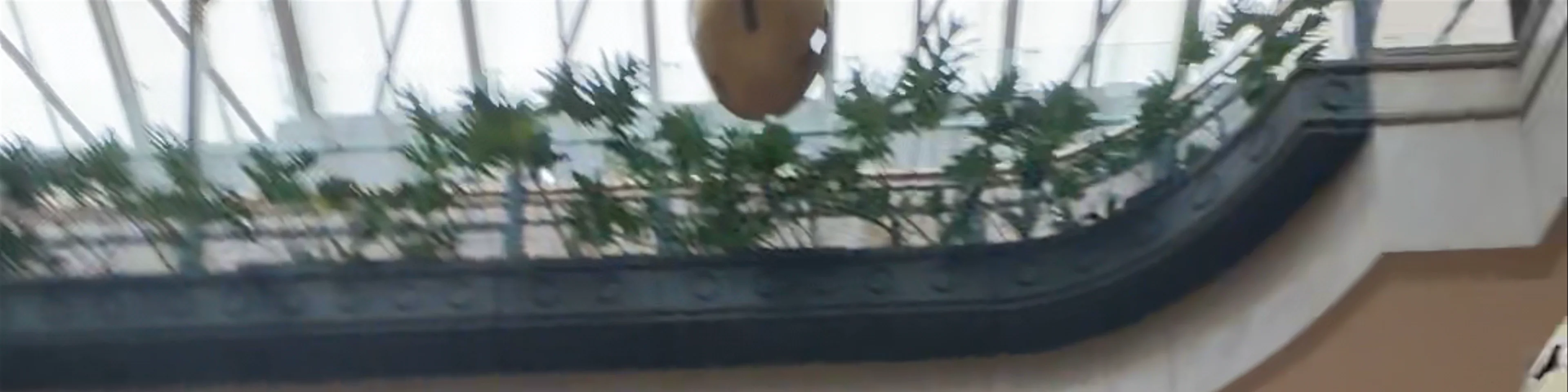 Centro Comercial Andino