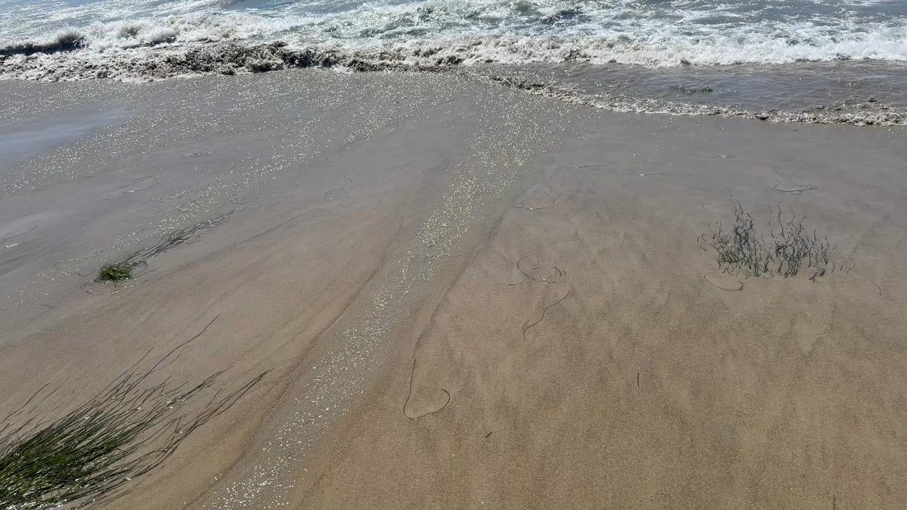 Video thumbnail 9 more videos
