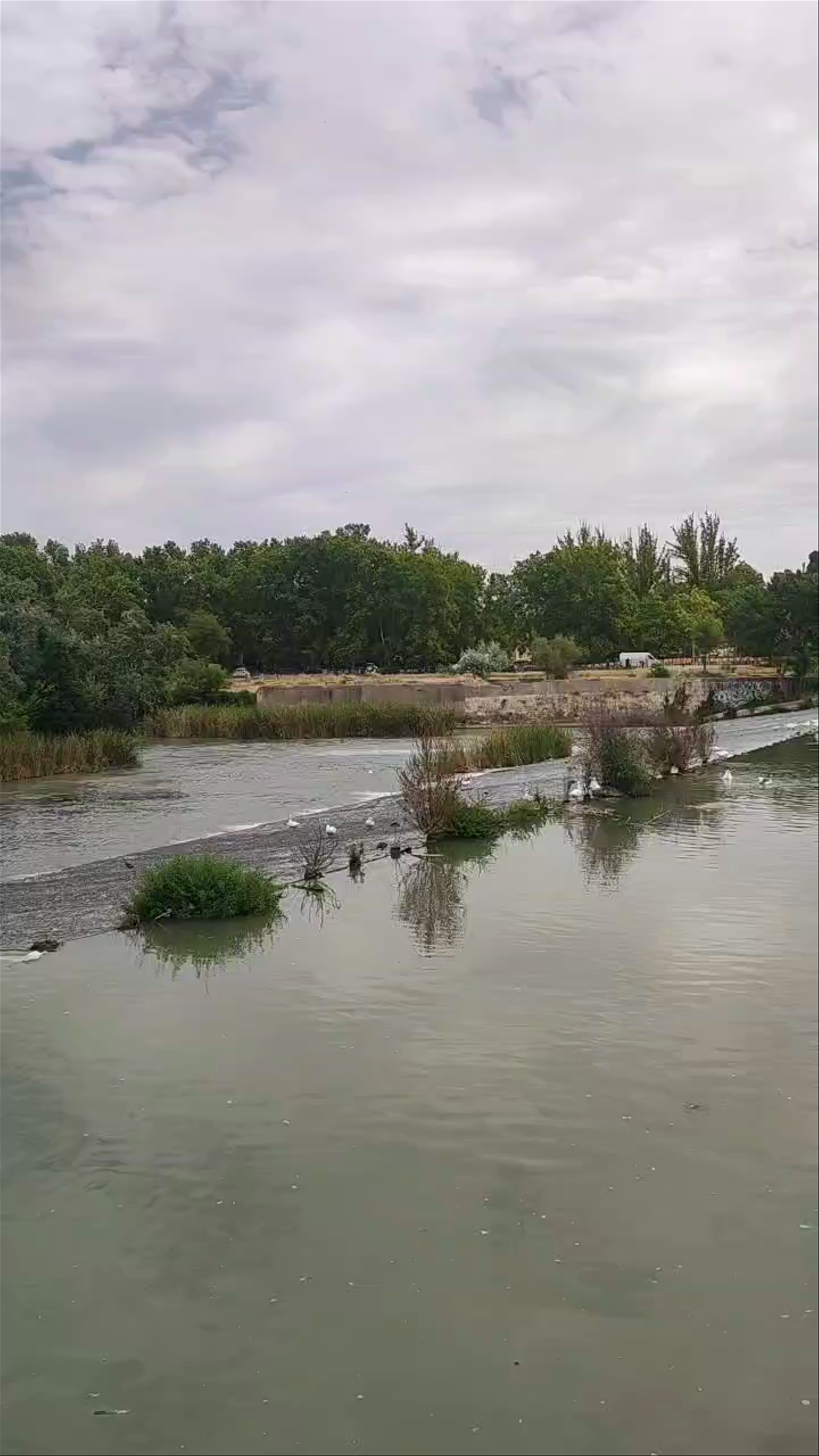 Jardín del Parterre