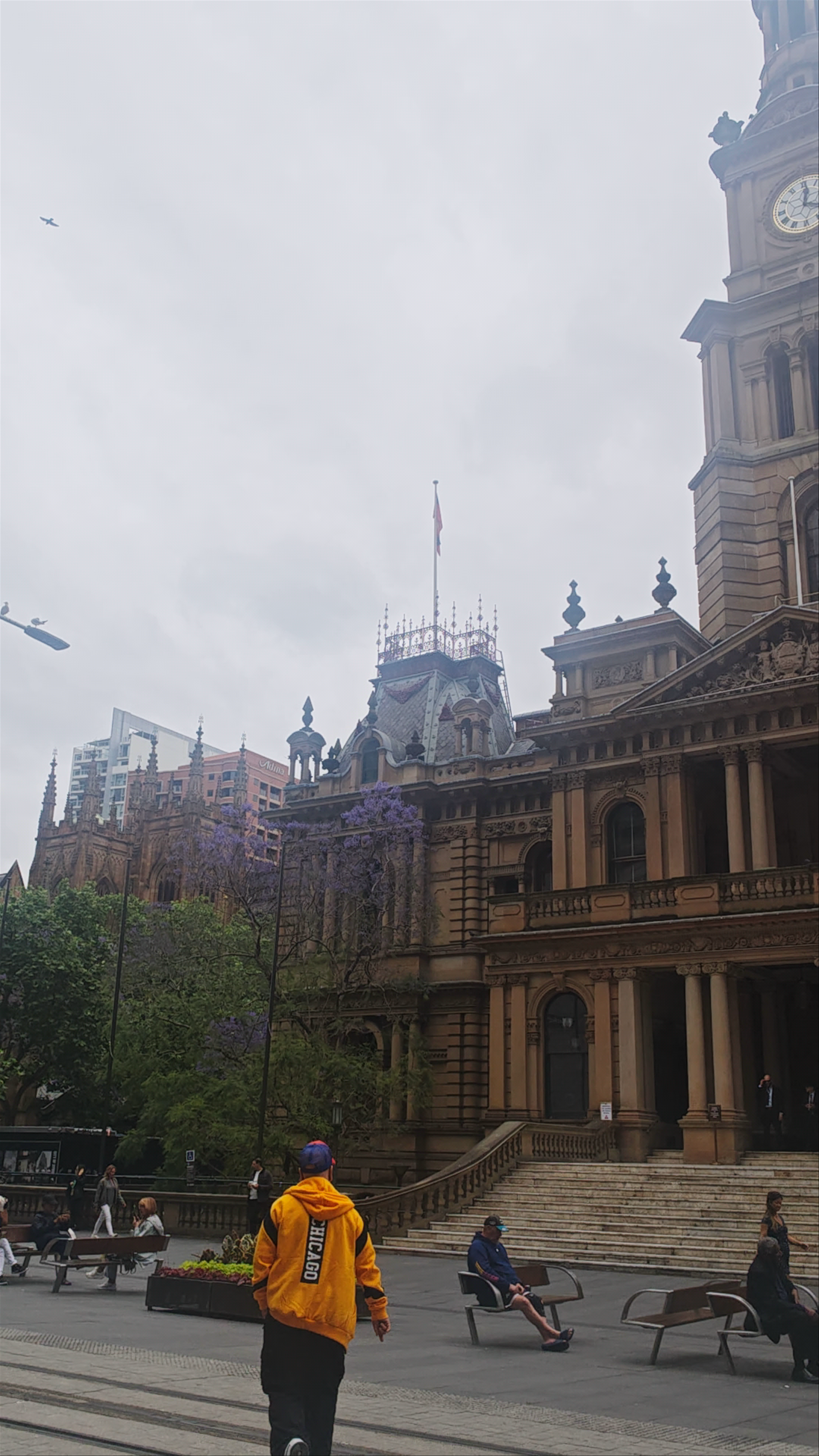 Historic Sydney Town Hall in Tranquil Urban Moments