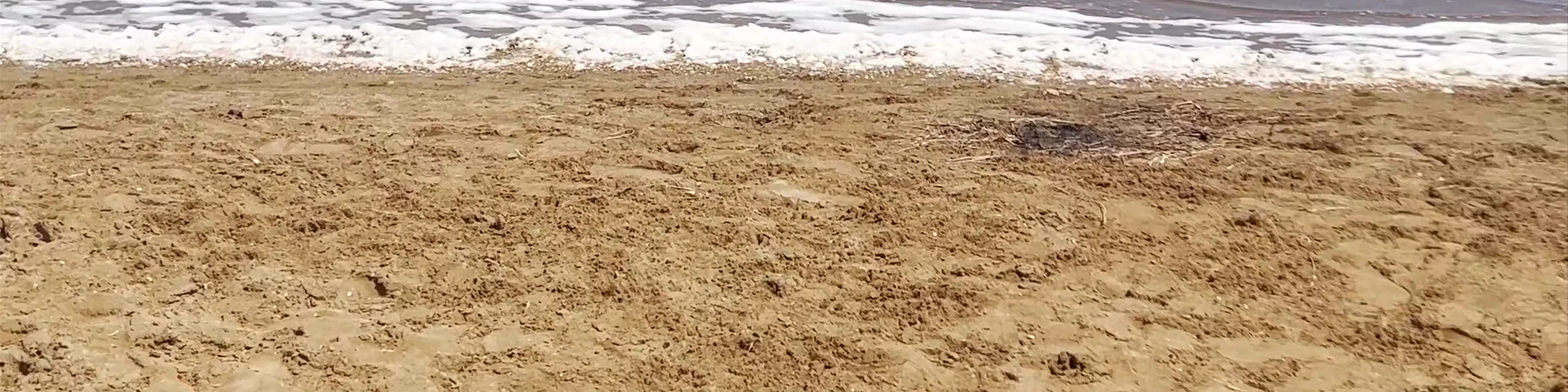 Playa Perla de Levante