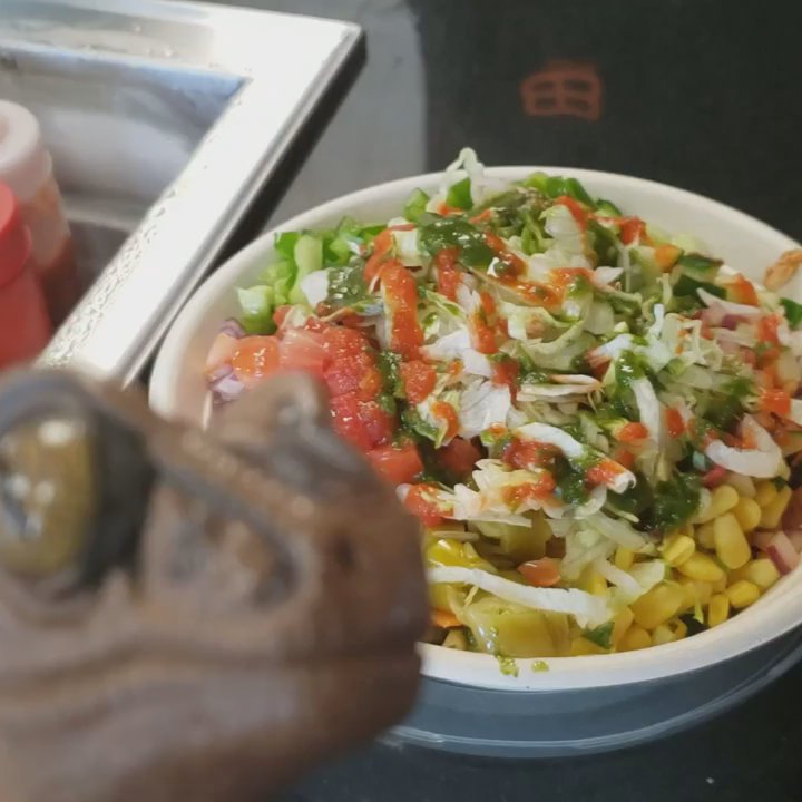 Bombay Burrito - Bob the Raptor says... - Indian Near Me - Willoughby, Ohio