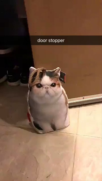 Target - Ok the cat door stop doesn't work on tile but still Keeping it ! - Department Stores Near Me - Seattle, Washington