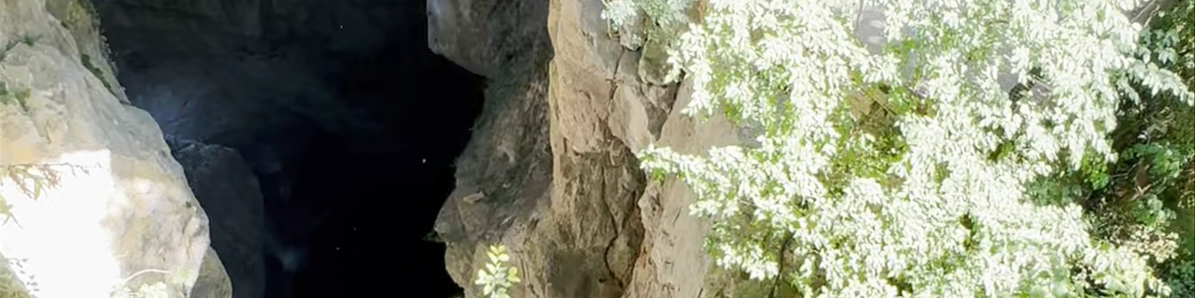 Turistično društvo Škocjan