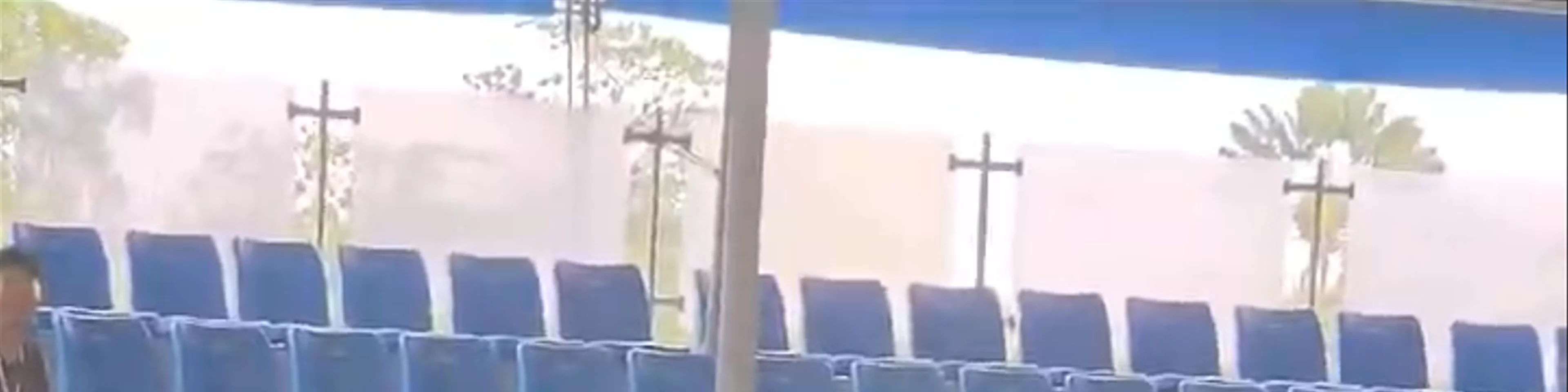 Dolphin Show