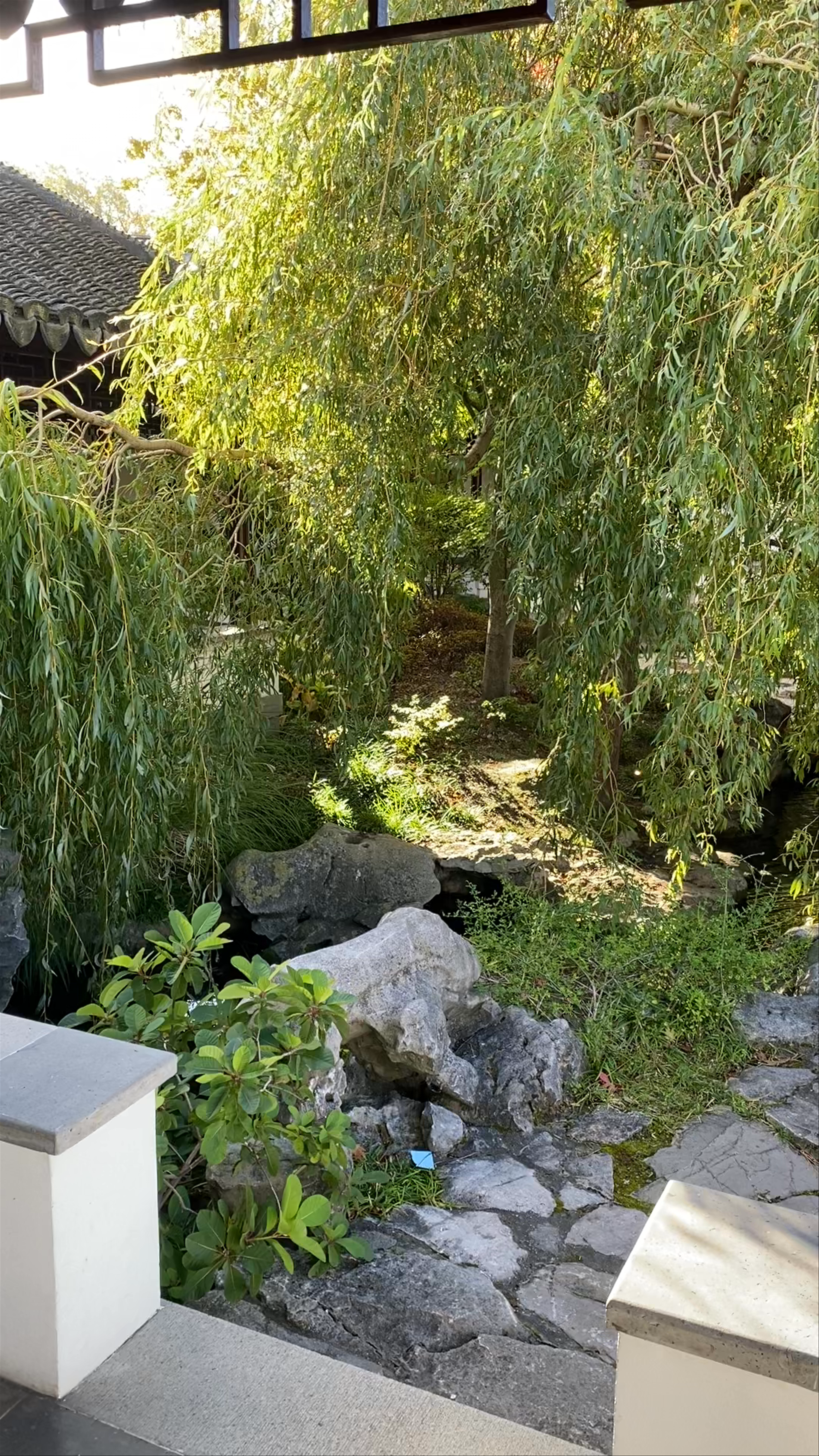 Lan Yuan, Dunedin Chinese Garden