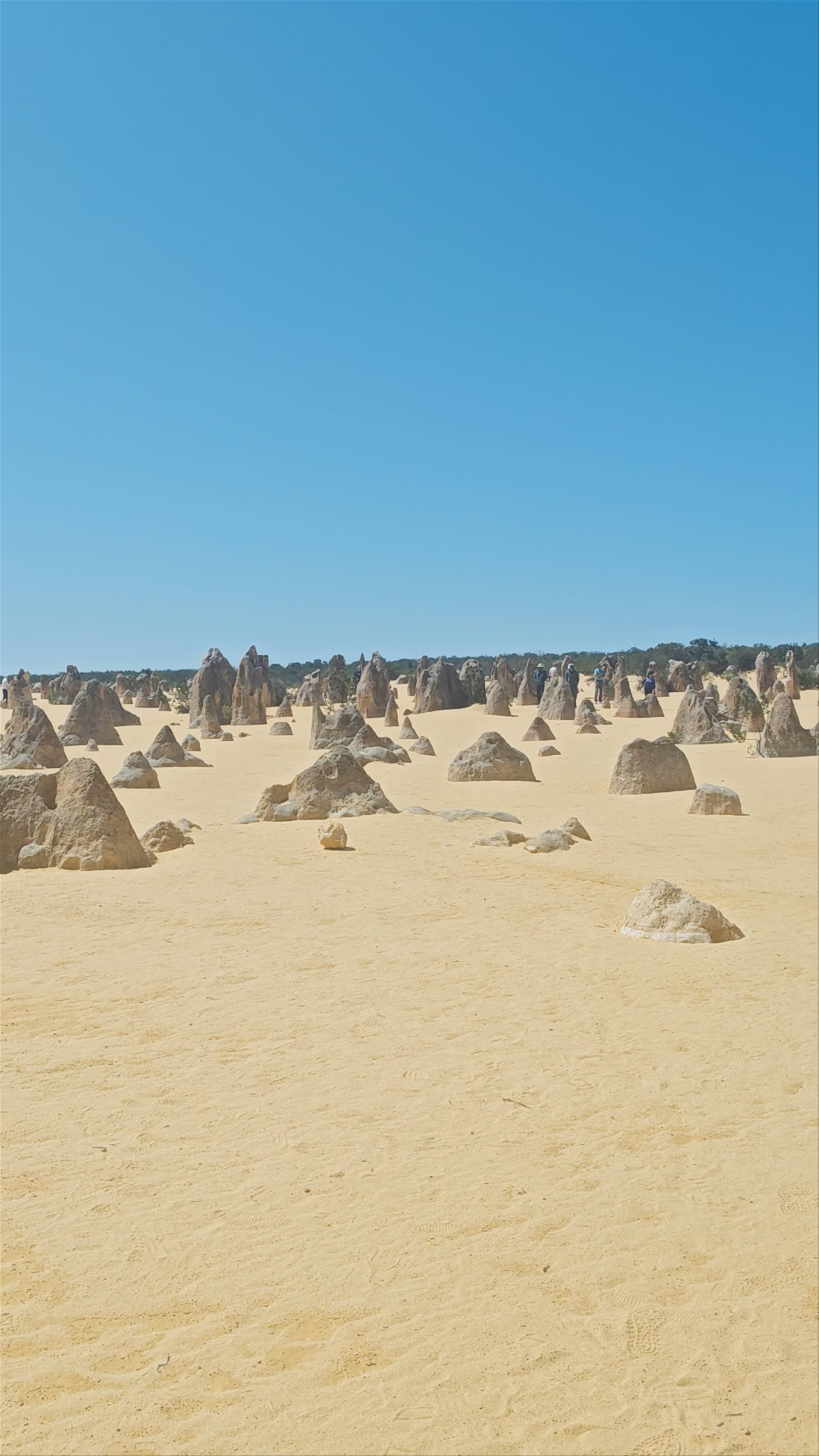 The Pinnacles Desert