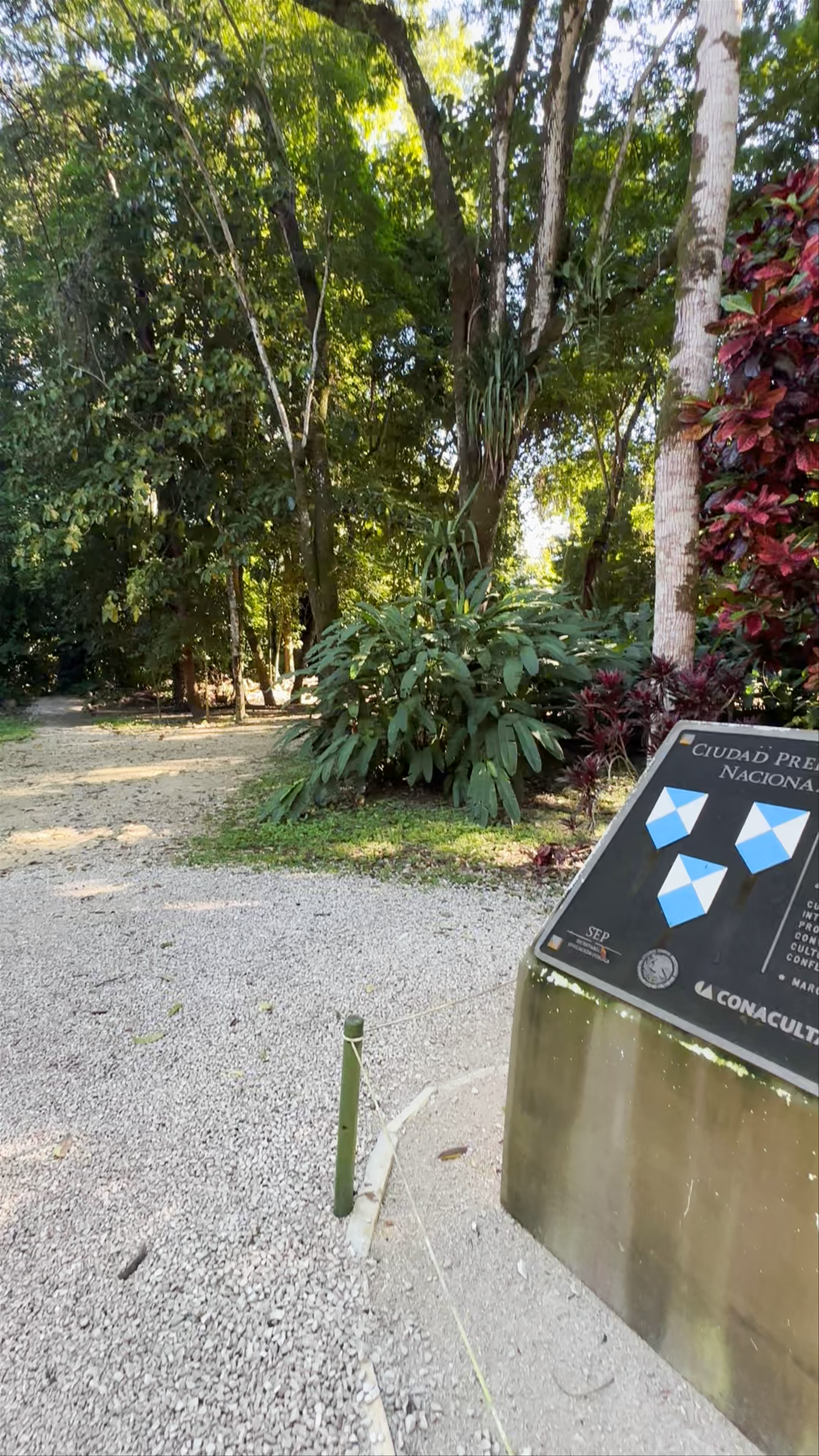 Zona Arqueológica Palenque