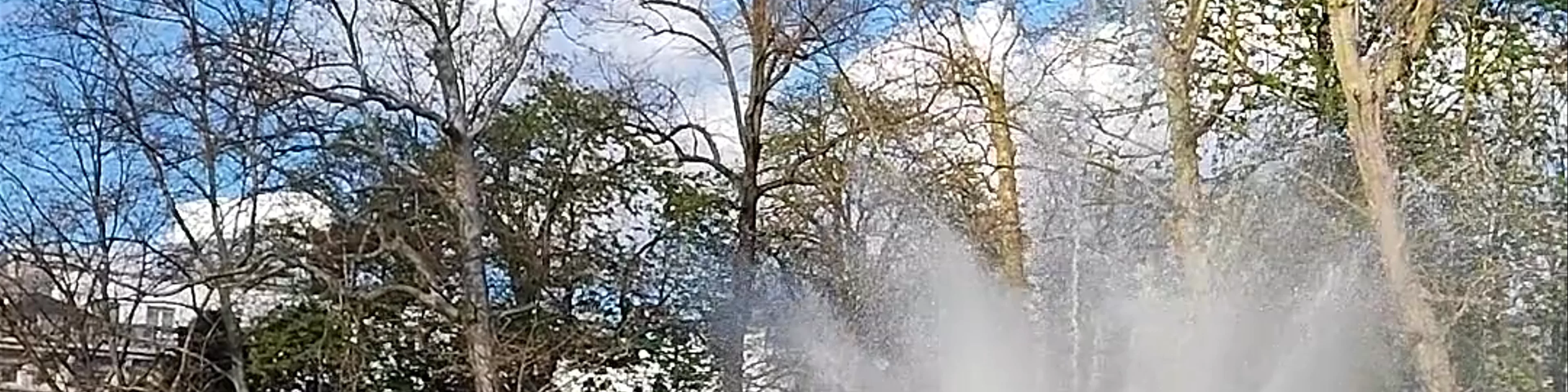 Parc de Bruxelles