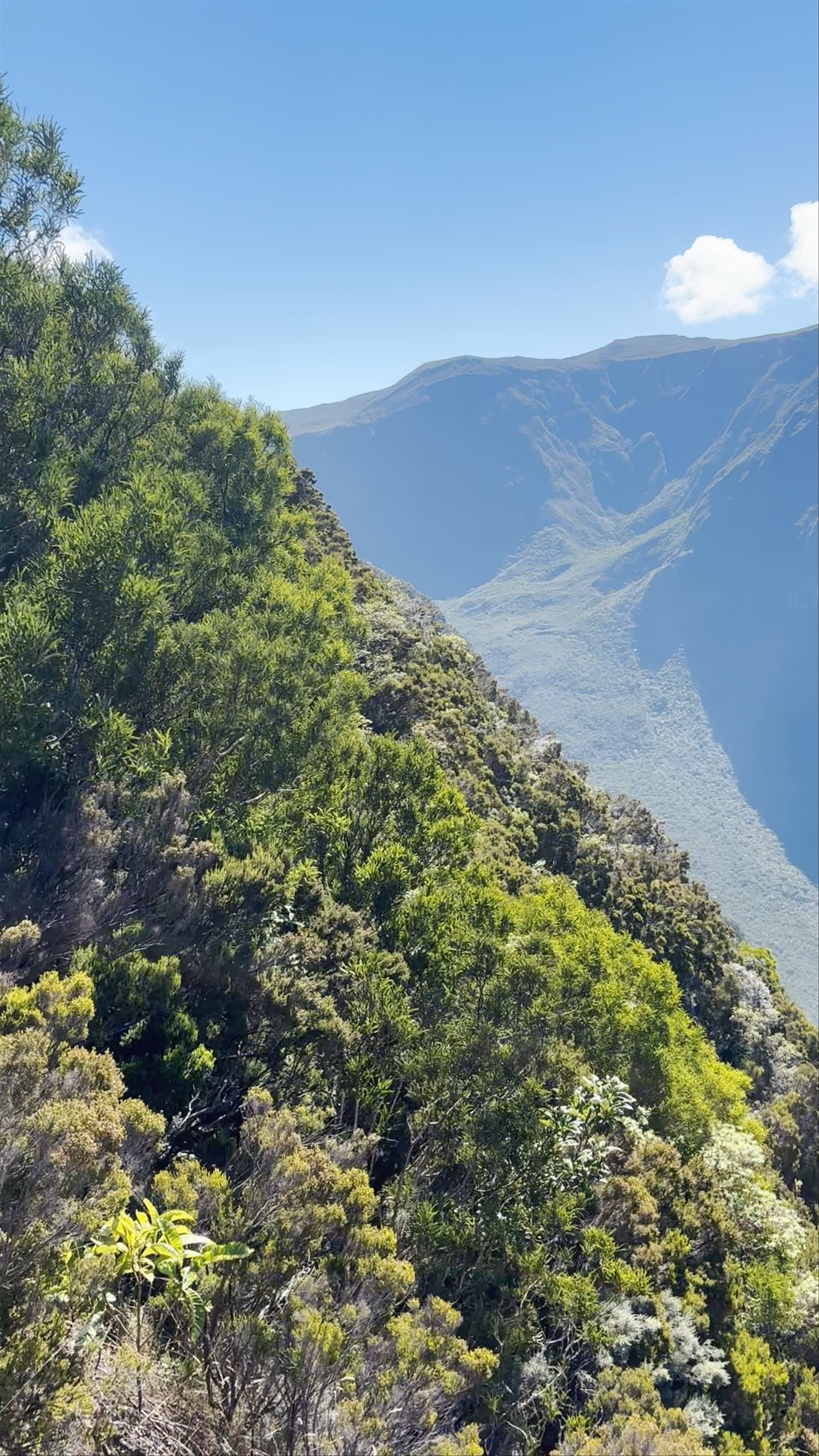 Belvédère du Nez de Bœuf (alt. 2040m)