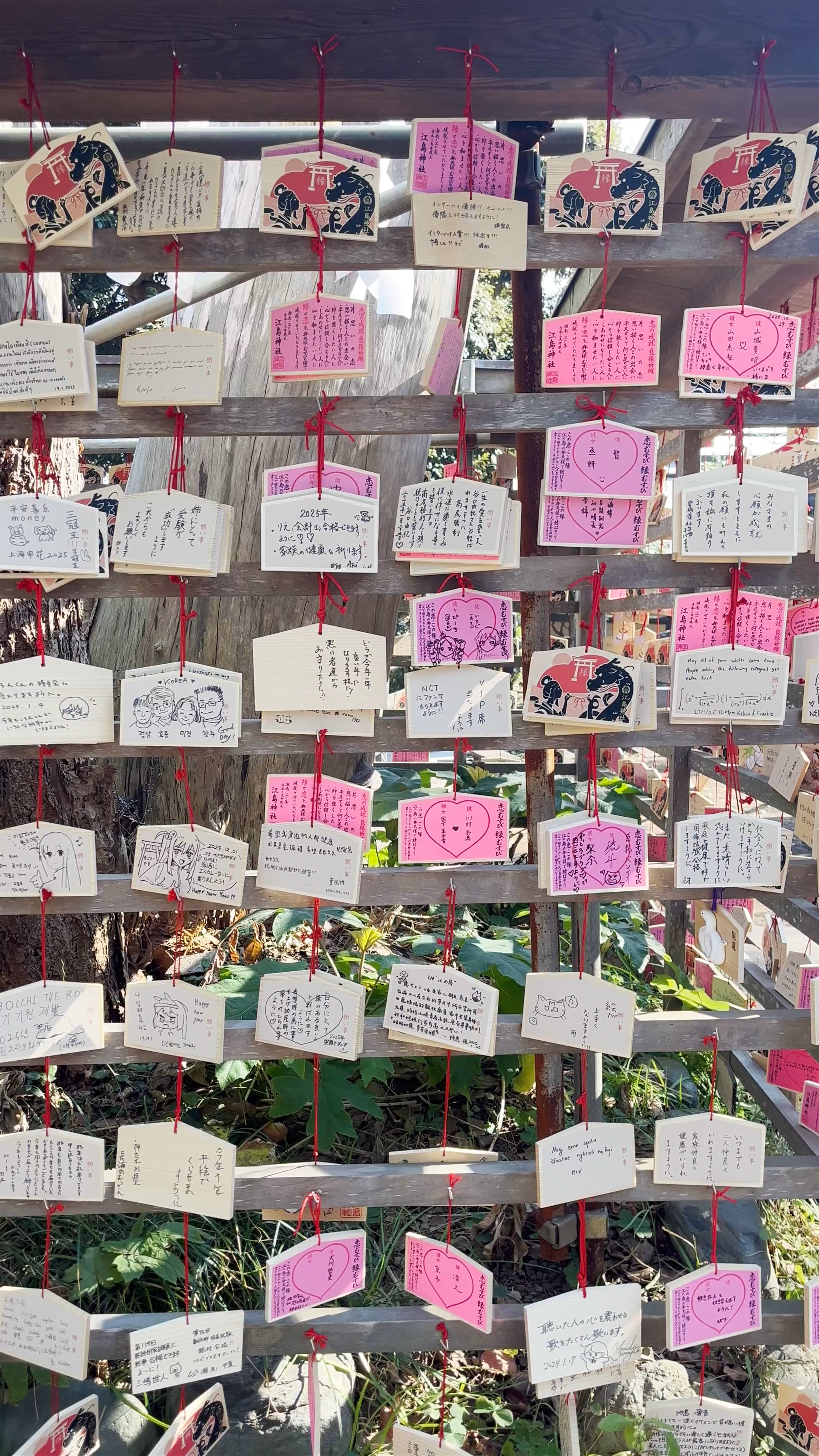 Ema Rack Prayers & Enoshima Island Views in Fujisawa, Japan