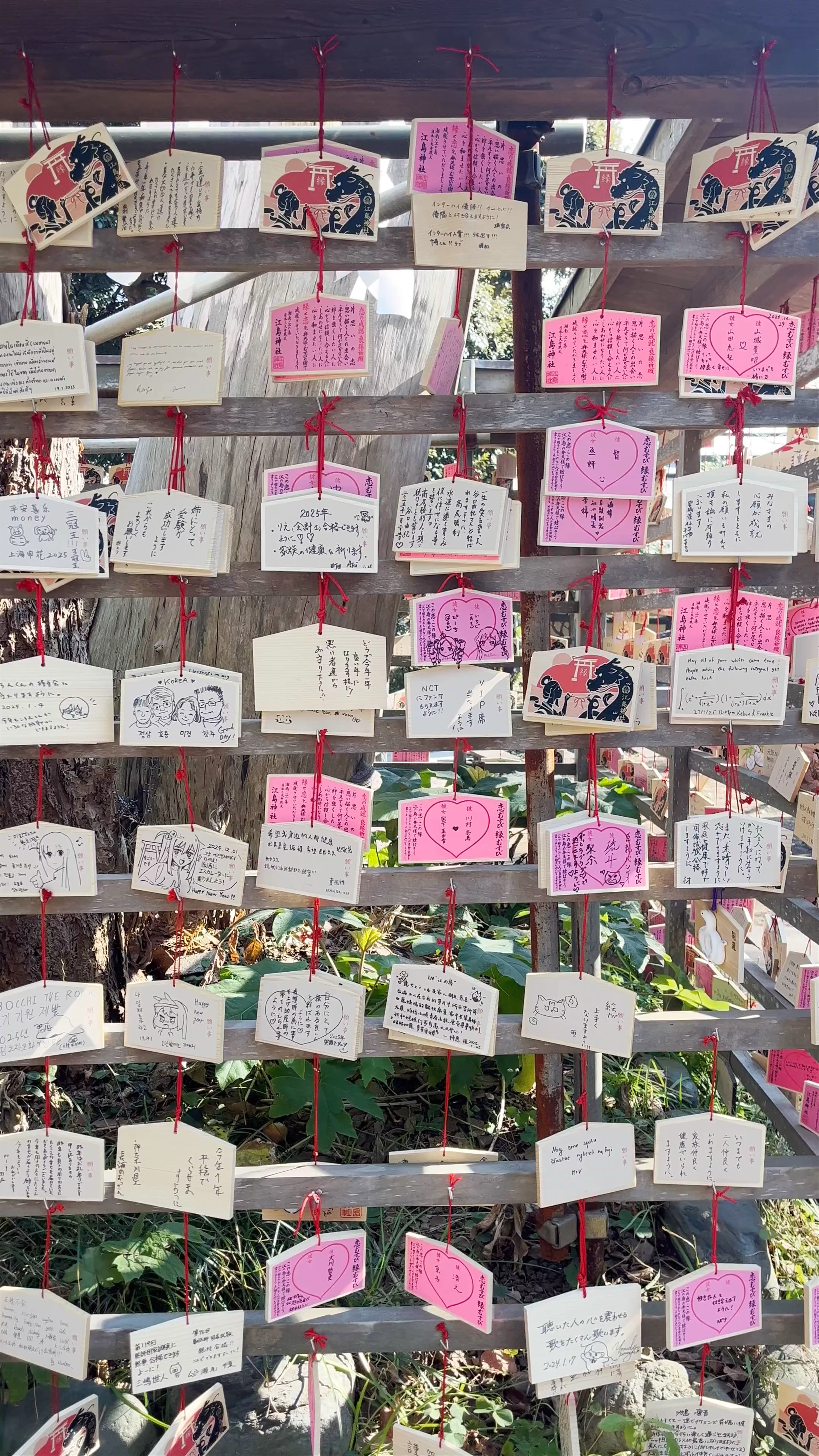 Ema Rack, Enoshima