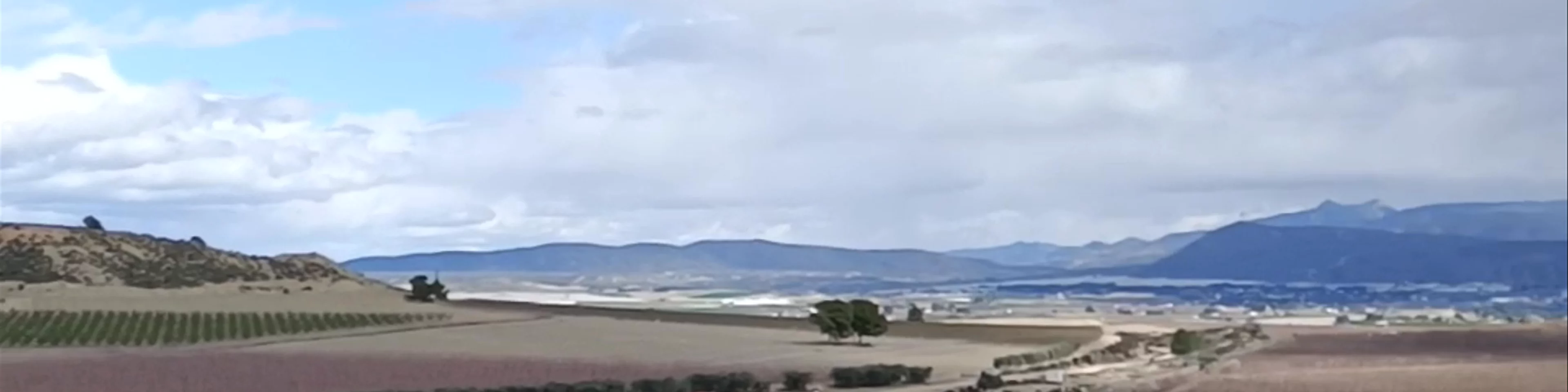 La Macetúa