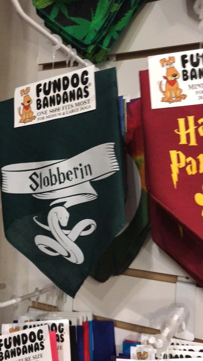 Faux Paws - Where's the sorting hat when you need one? #harrypotterdog #harrypotter - Pet Stores Near Me - Saint Augustine, Florida
