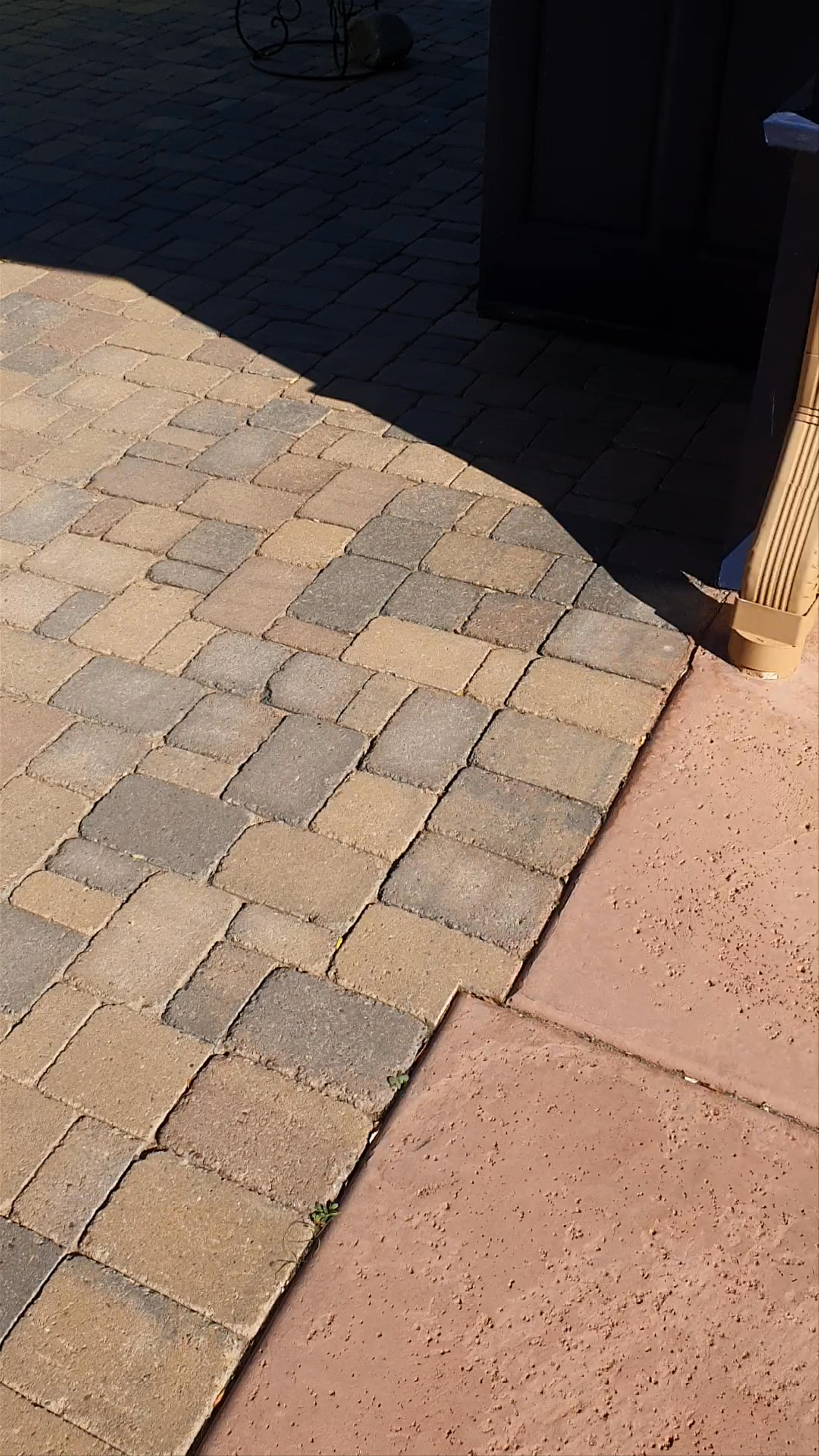 Scorpion on the Porch