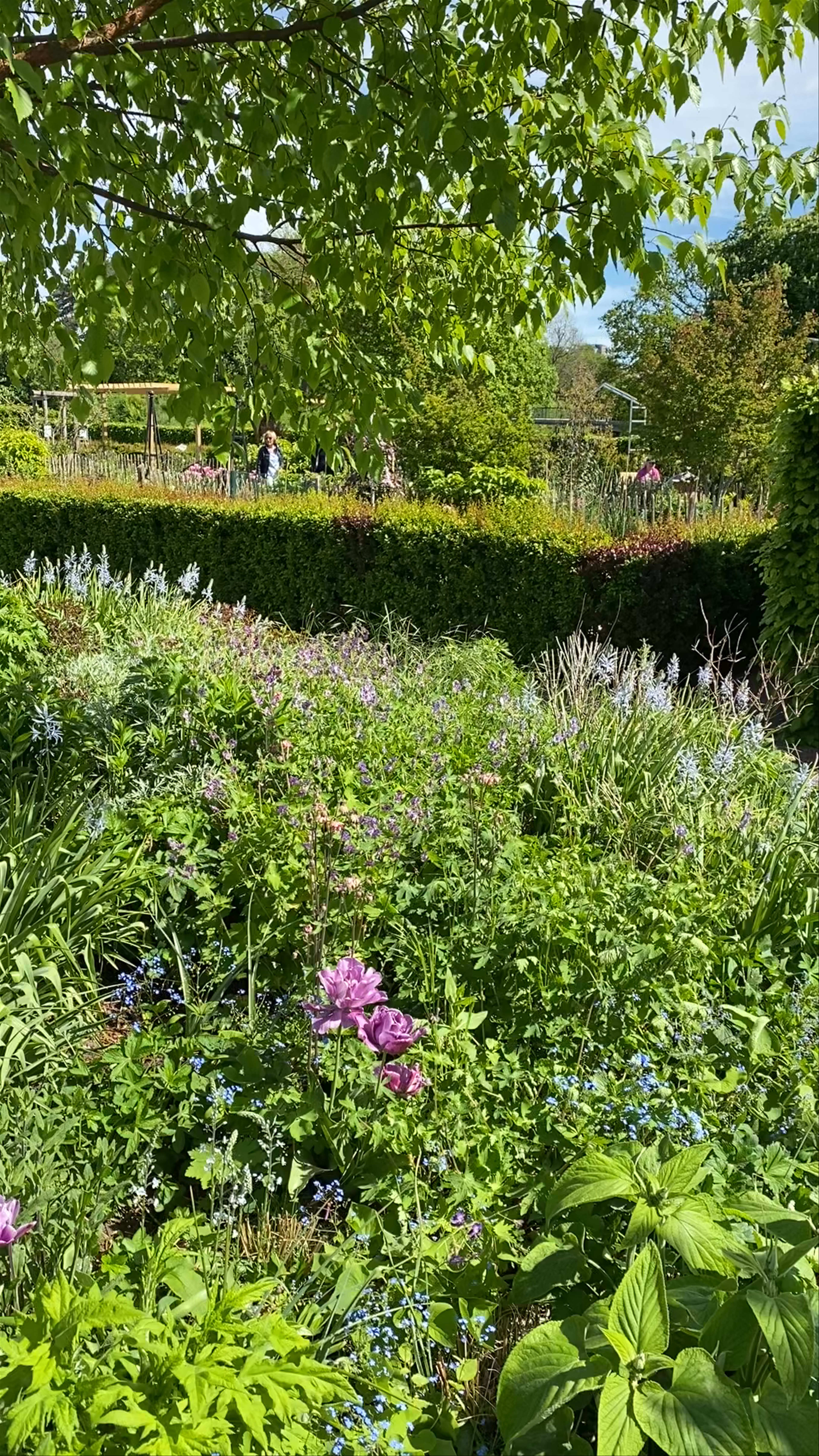 Malmöhusvägen