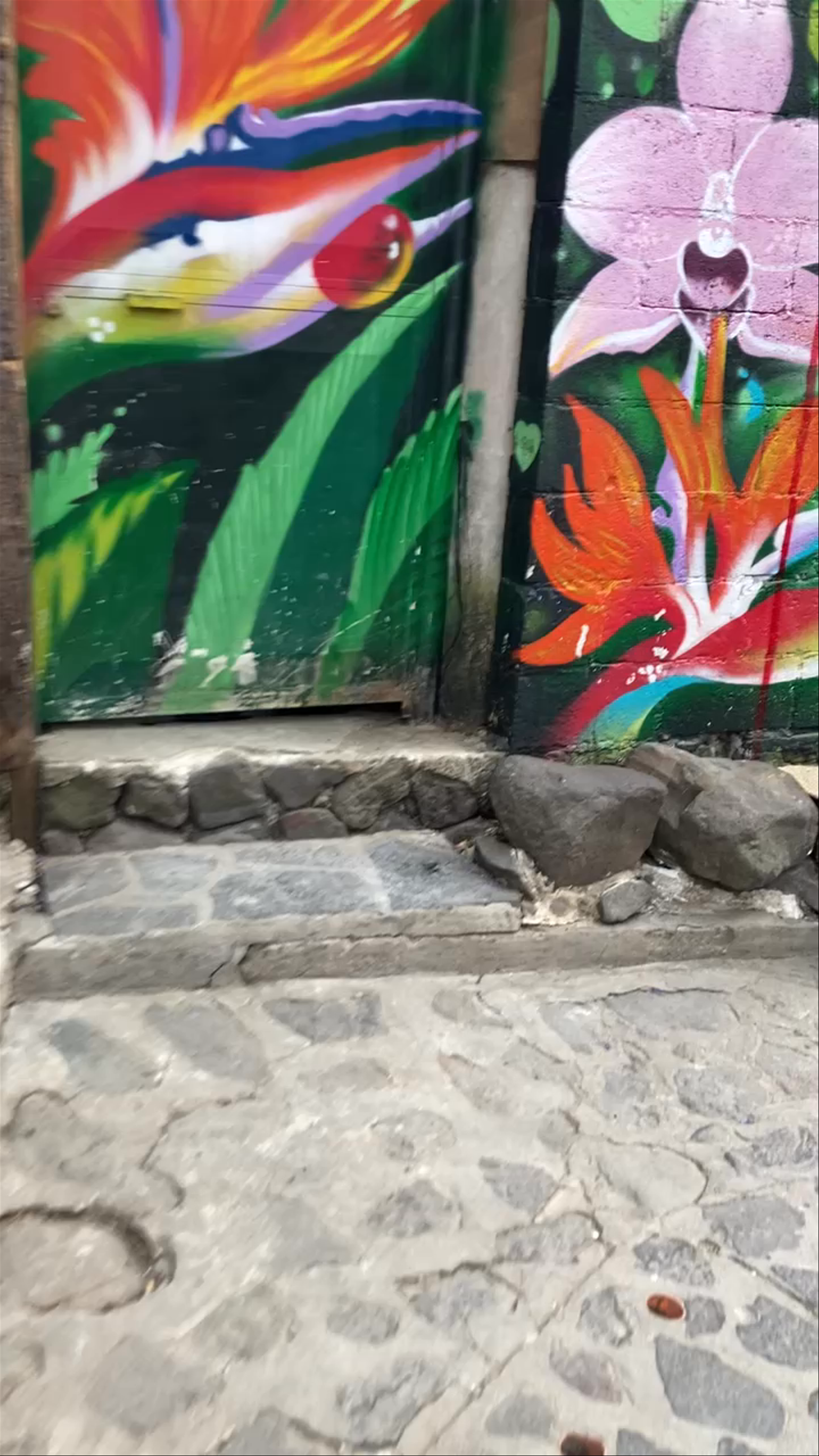 Callejon San Marcos la Laguna