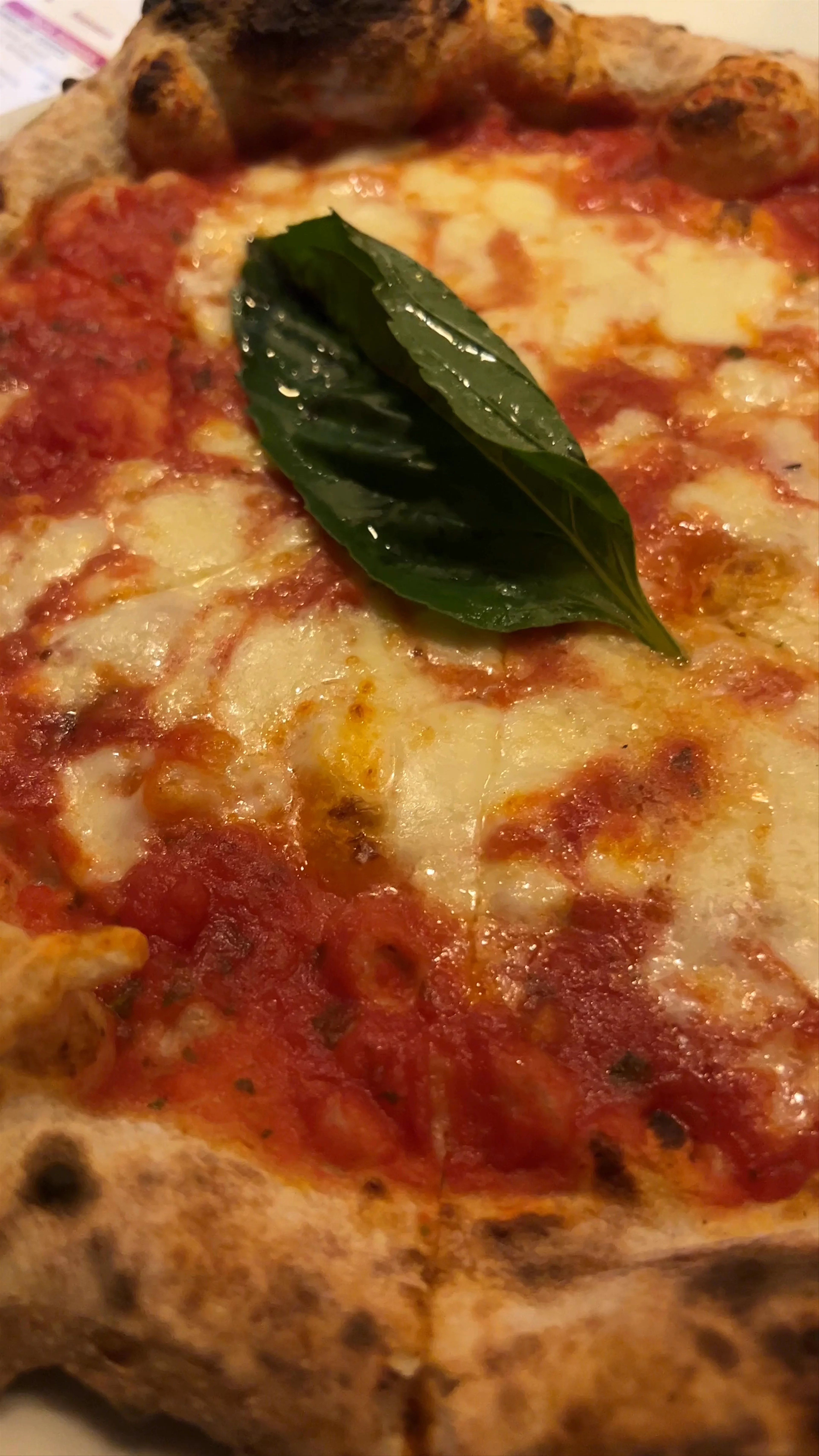 La Trattoria