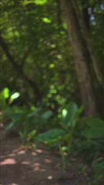 Conheça Suas Habilidades