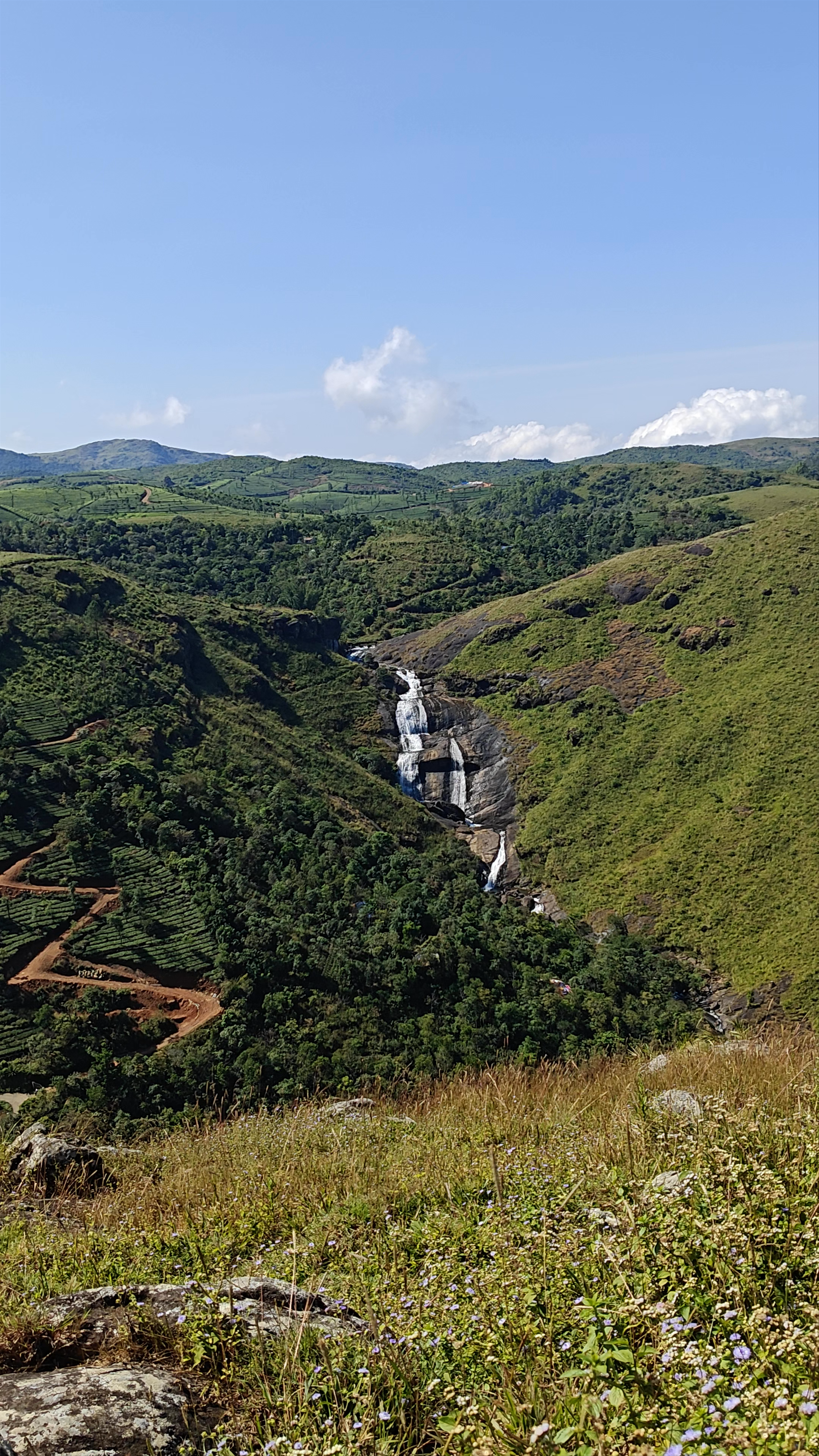 Vagamon Glass Bridge