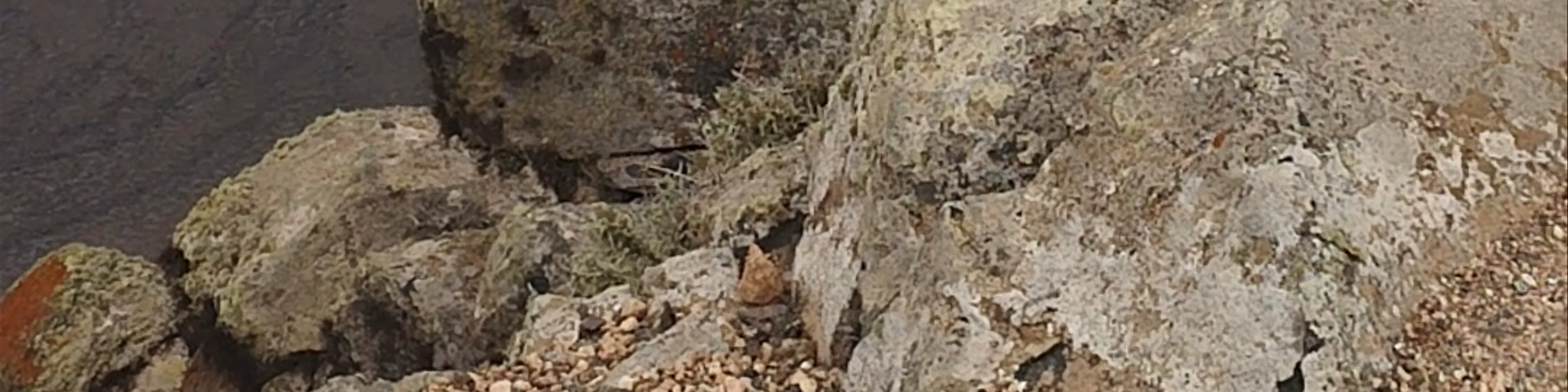 Mirador del Porrito