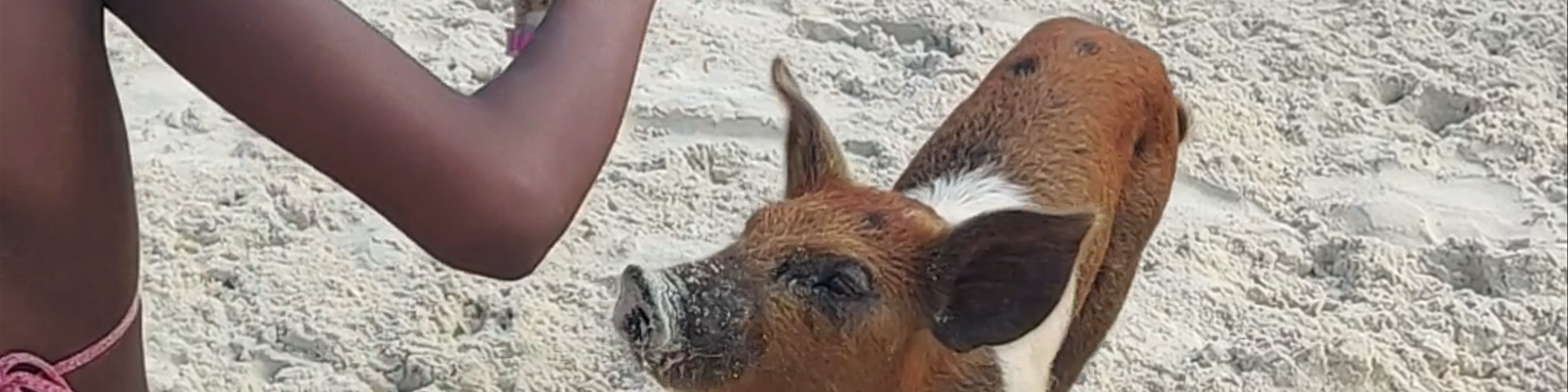 Bahamas
