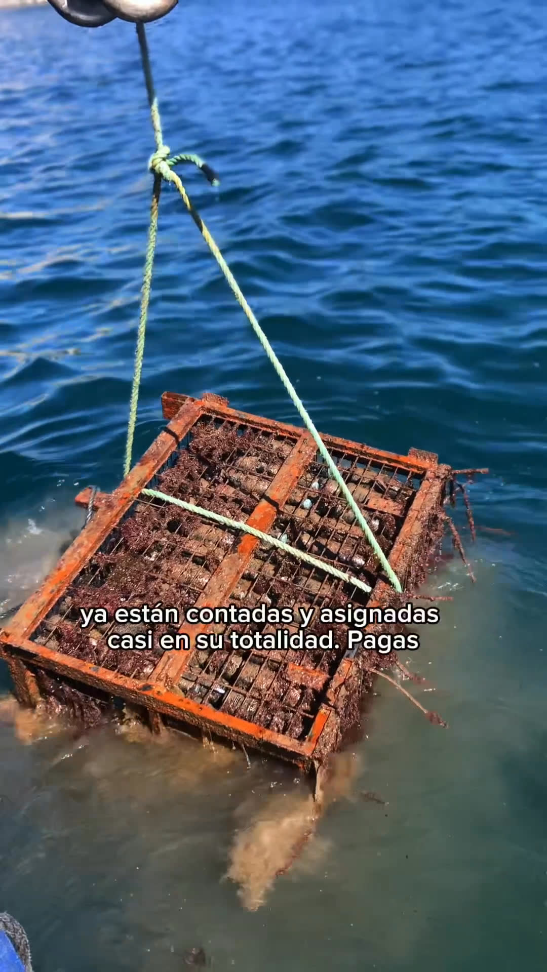 Vídeo UGC 6 de Carmen