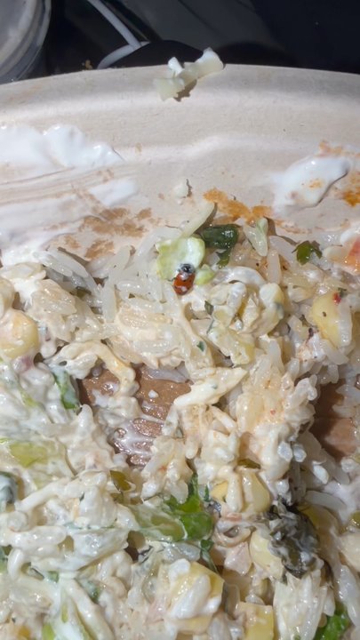 Chipotle Mexican Grill - Lady bug - Fast Food Near Me - Rocky Mount, North Carolina