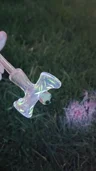 Small image 6
