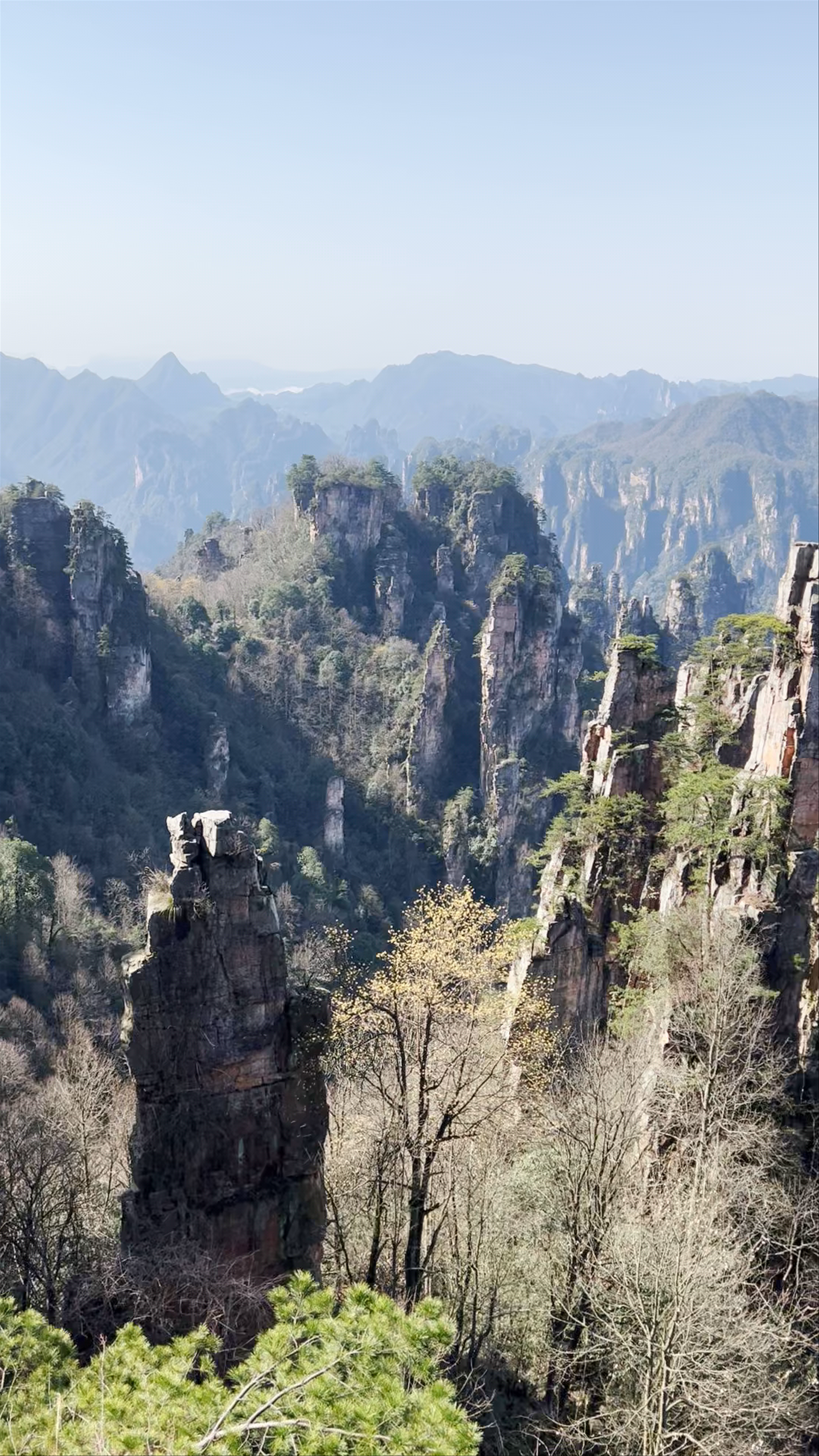 Tianzishan Nature Reserve: Majestic Stone Pillars of Zhangjiajie